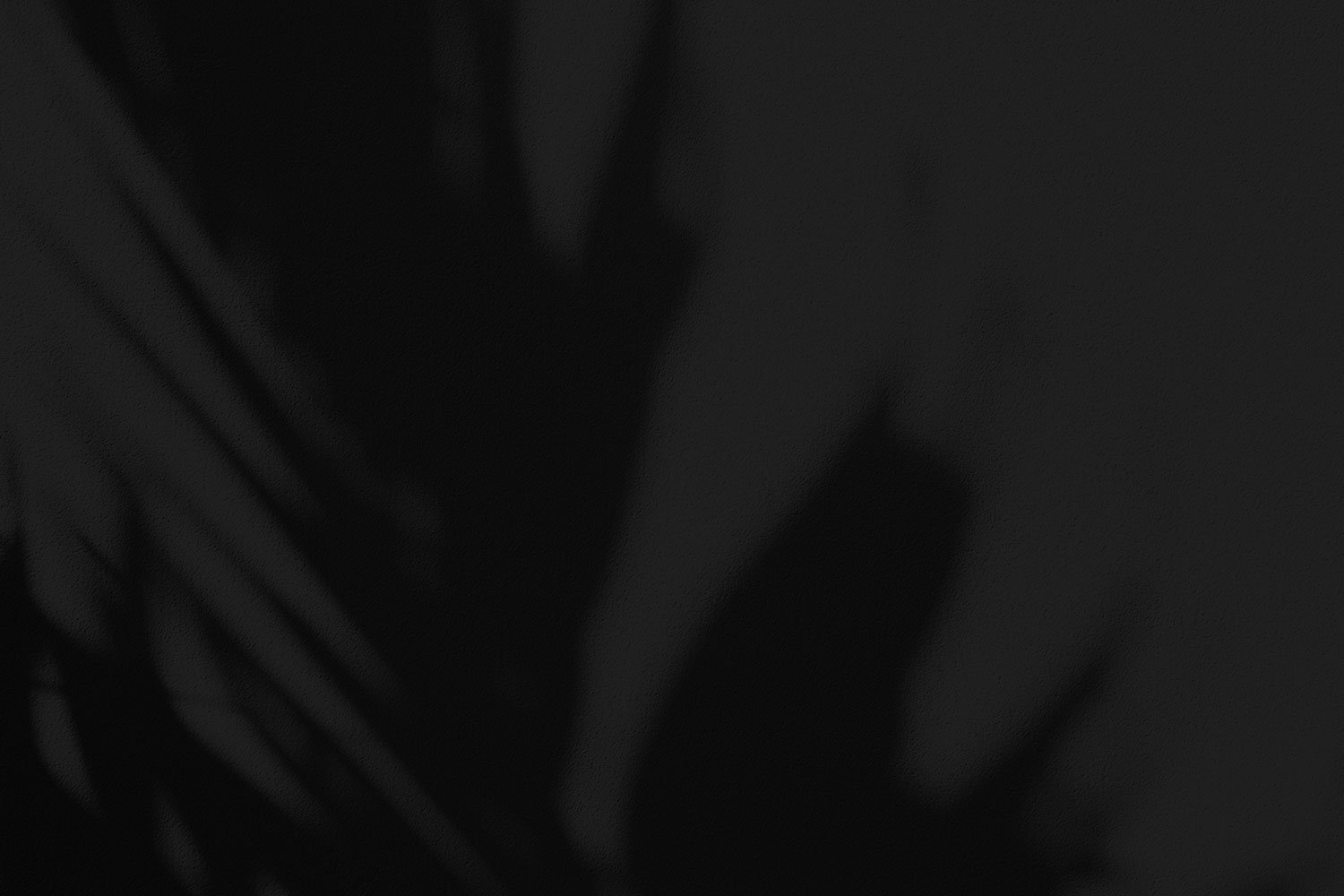 Black and white photo of hanging leaves or plant silhouette.