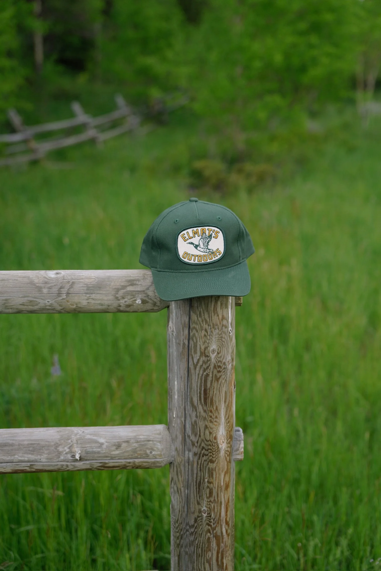 Tezza-8883.jpg
