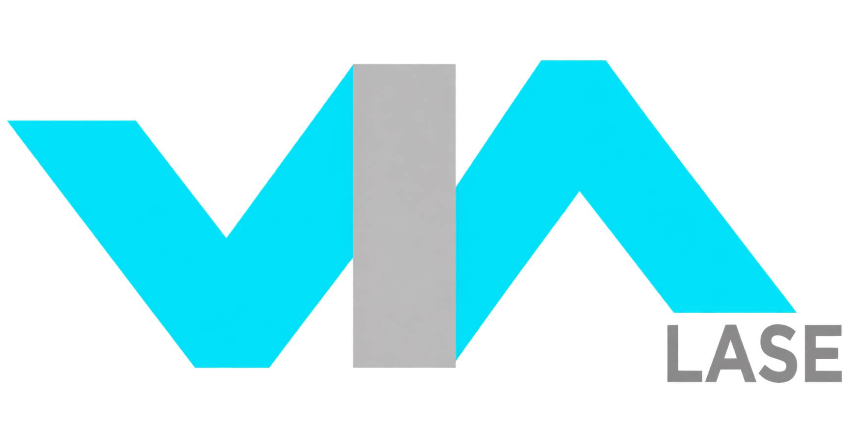 ViaLase logo BR.png