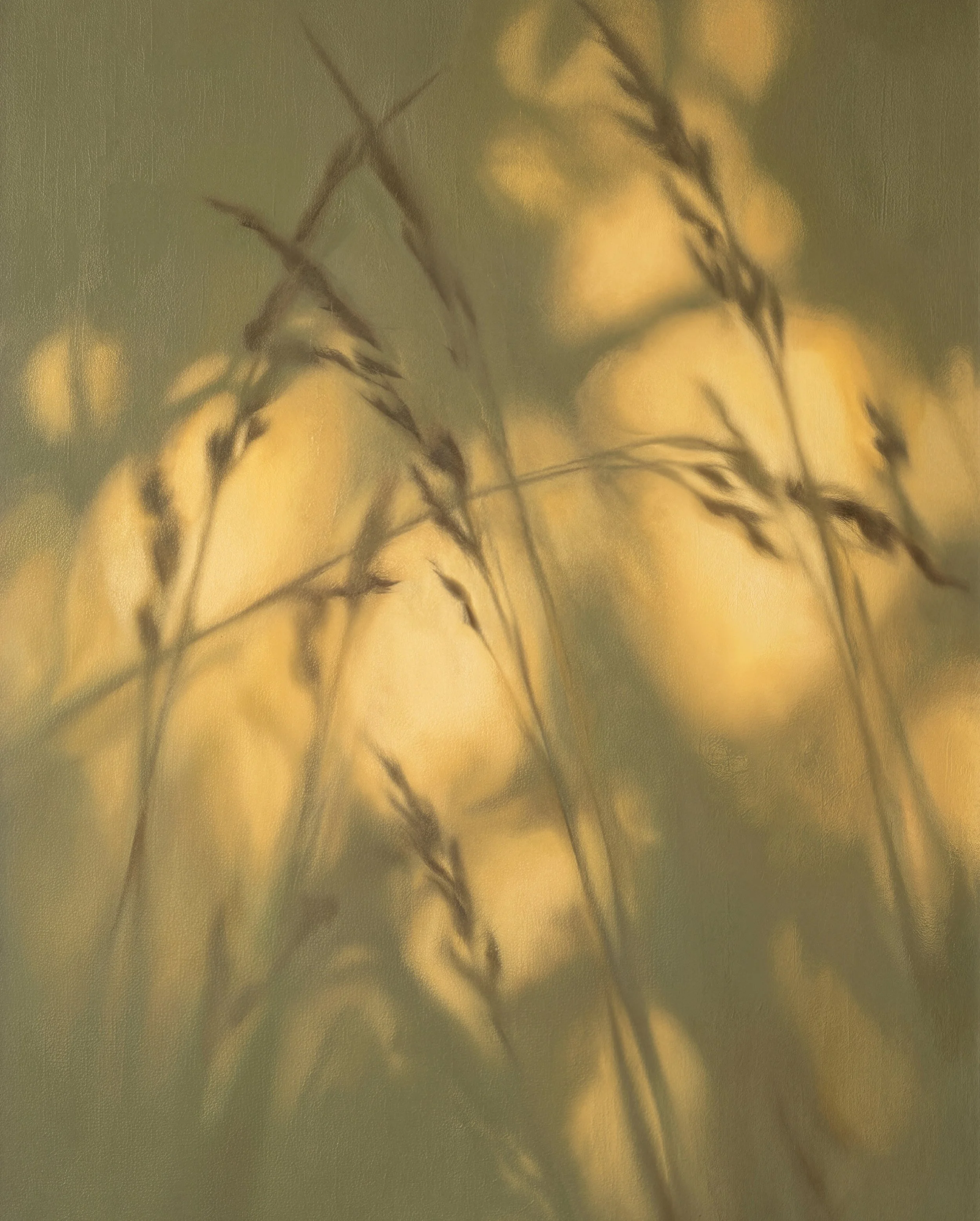 Close-up of tall grass or wheat stalks against a warm, golden background, with a soft, blurred effect.