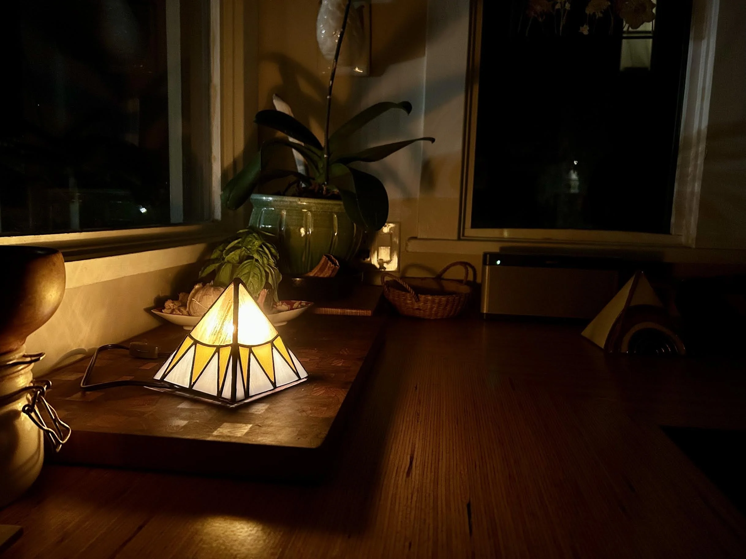 A cozy room at night with a table lamp, houseplants, and a window showing darkness outside.