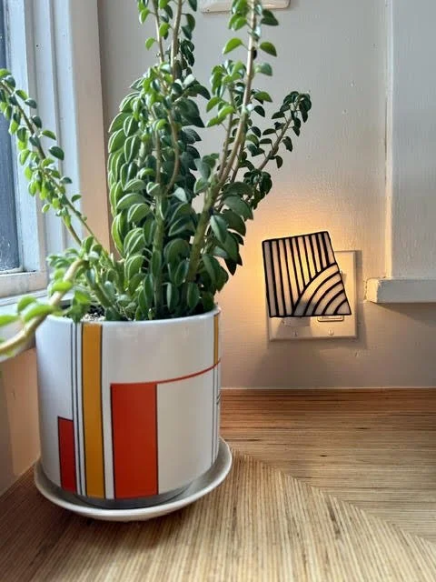 A potted green plant sits on a wooden surface next to a wall with a small modern light fixture, near a window.
