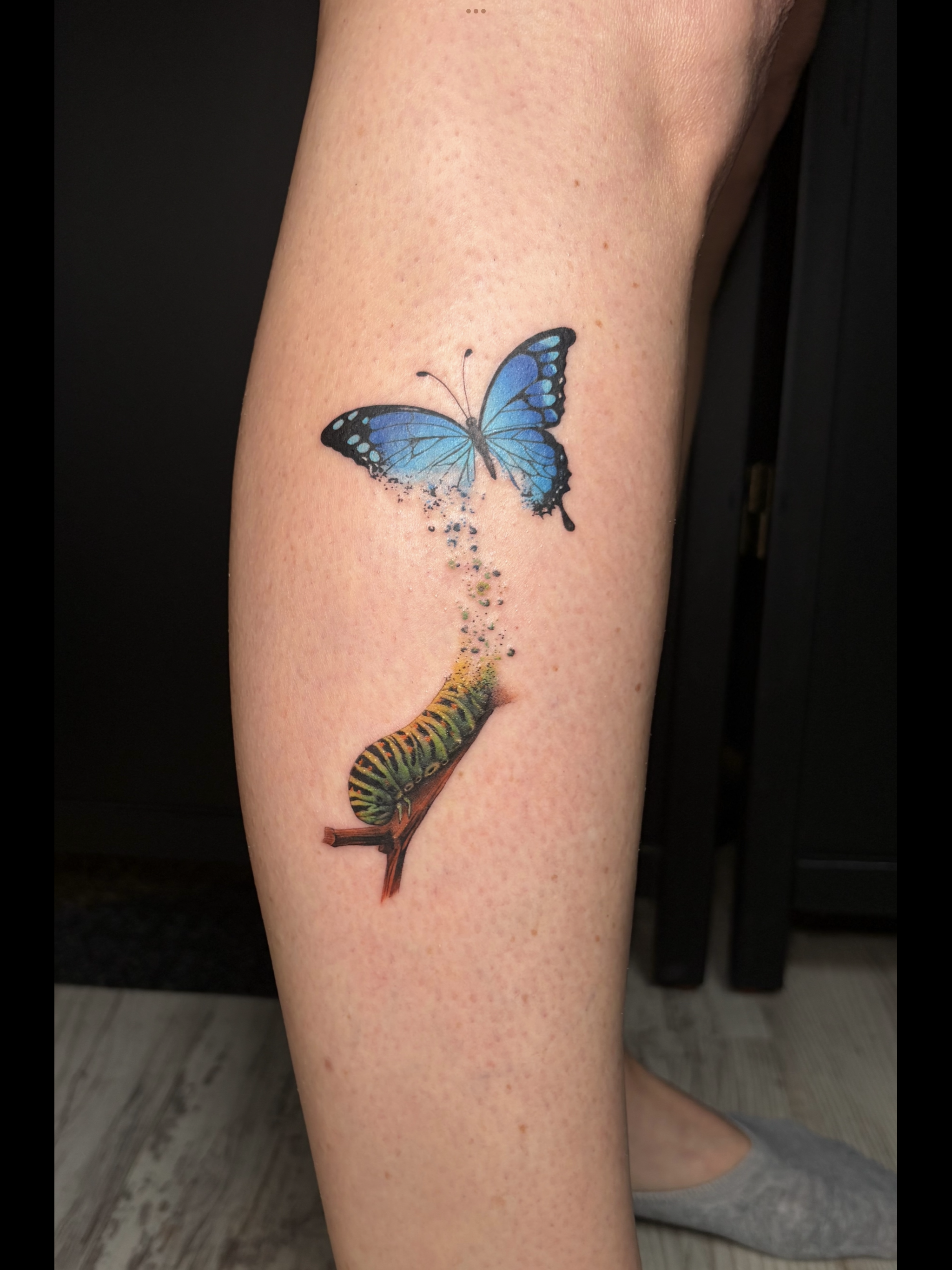Color butterfly and caterpillar tattoo by Gonzalo Chavez