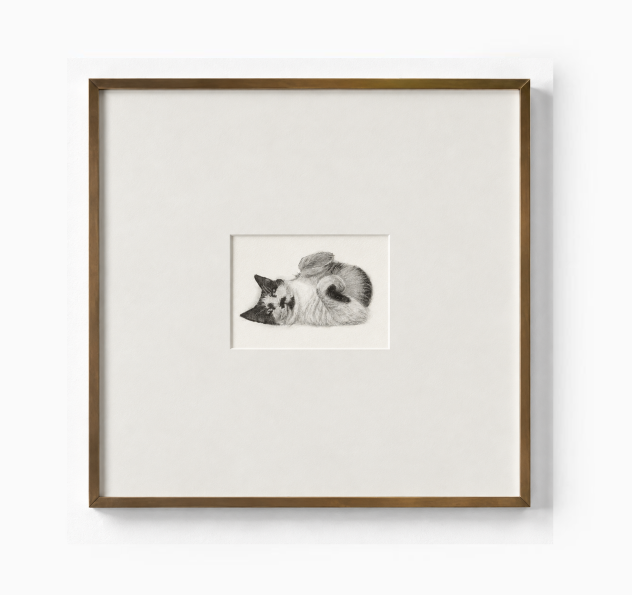 The Cat