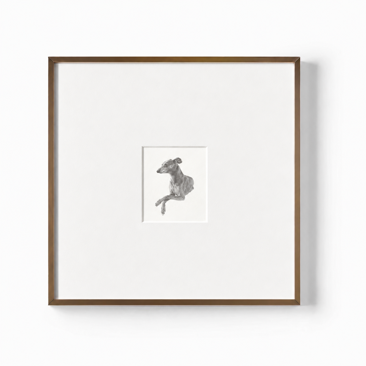 The Whippet