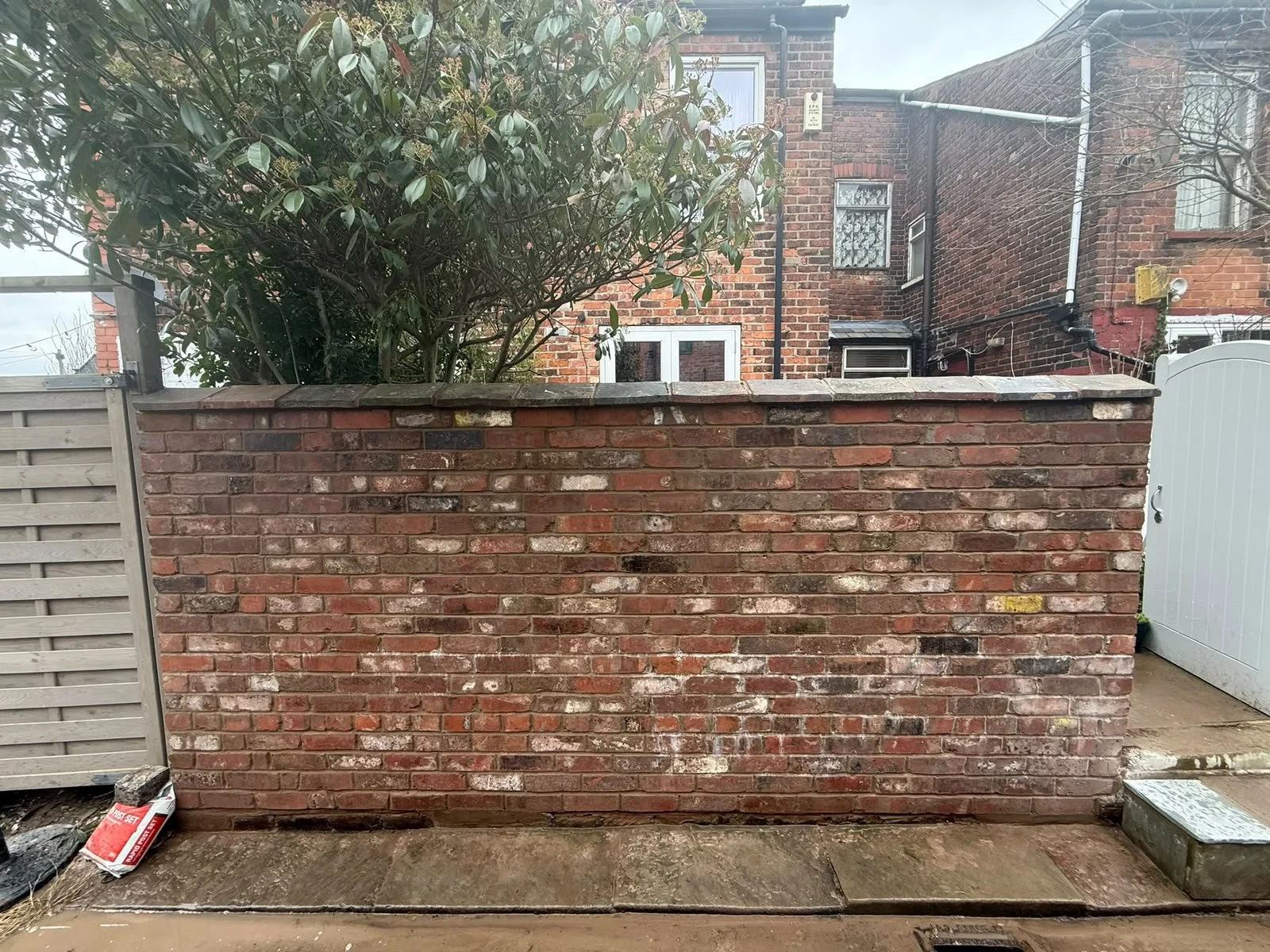 A brick wall in front of a house, with a large shrub behind it. The house has a brick exterior with small windows and a white door. There is a white gate on the right side and a concrete pavement in front of the wall.