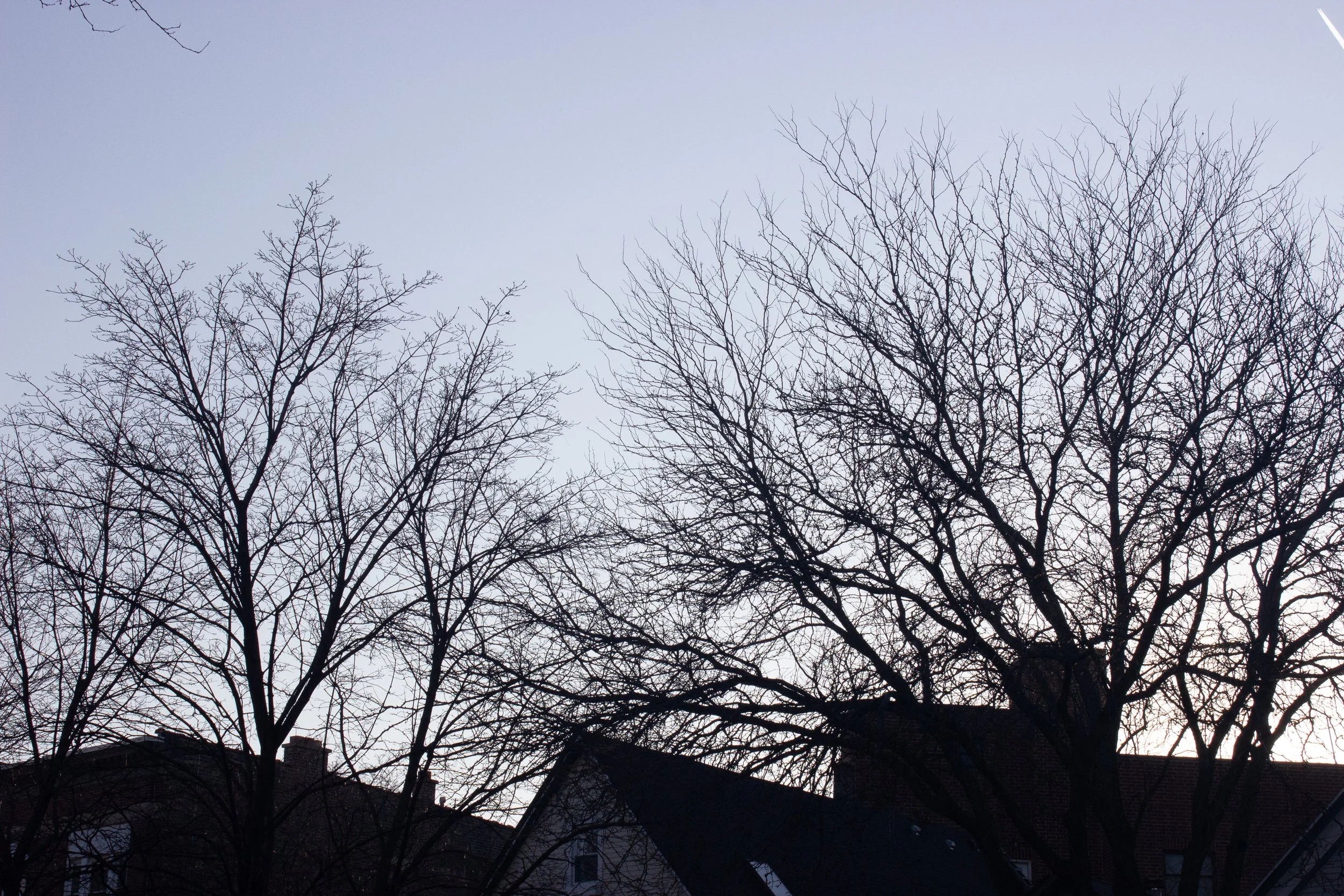 Digital Photography