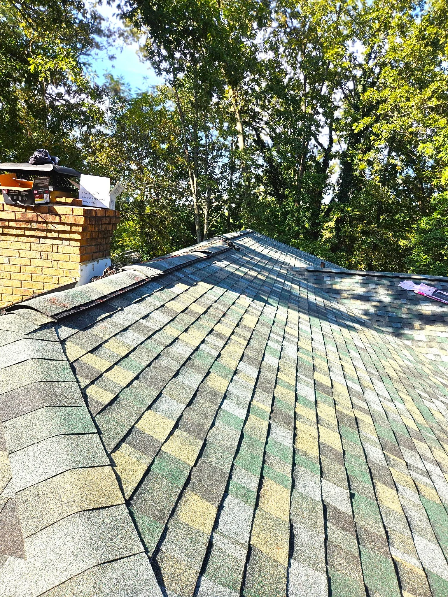 Colorful shingle roof with black outlines, surrounded by green trees with a bright blue sky in the background.