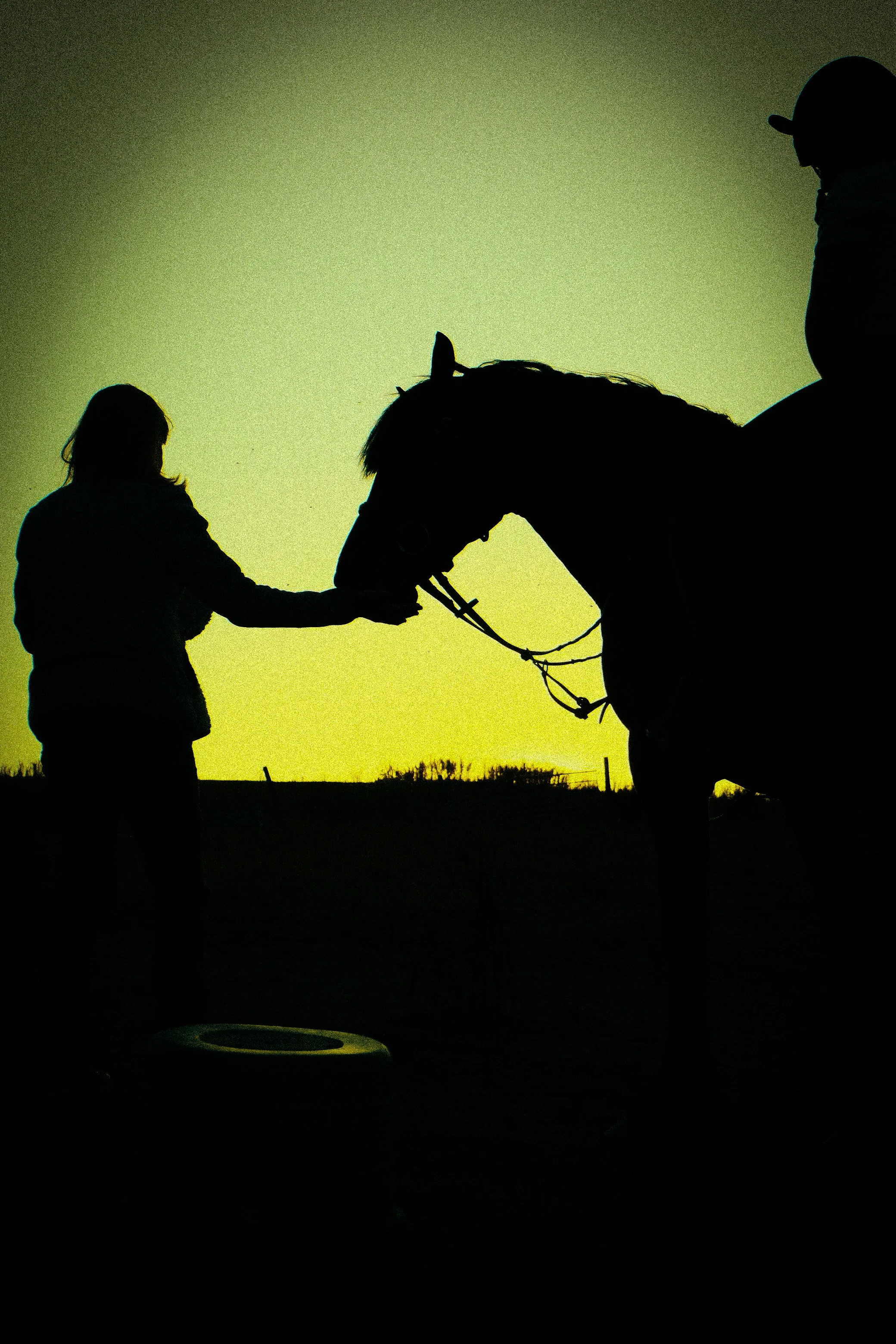 DSCF4958.jpg