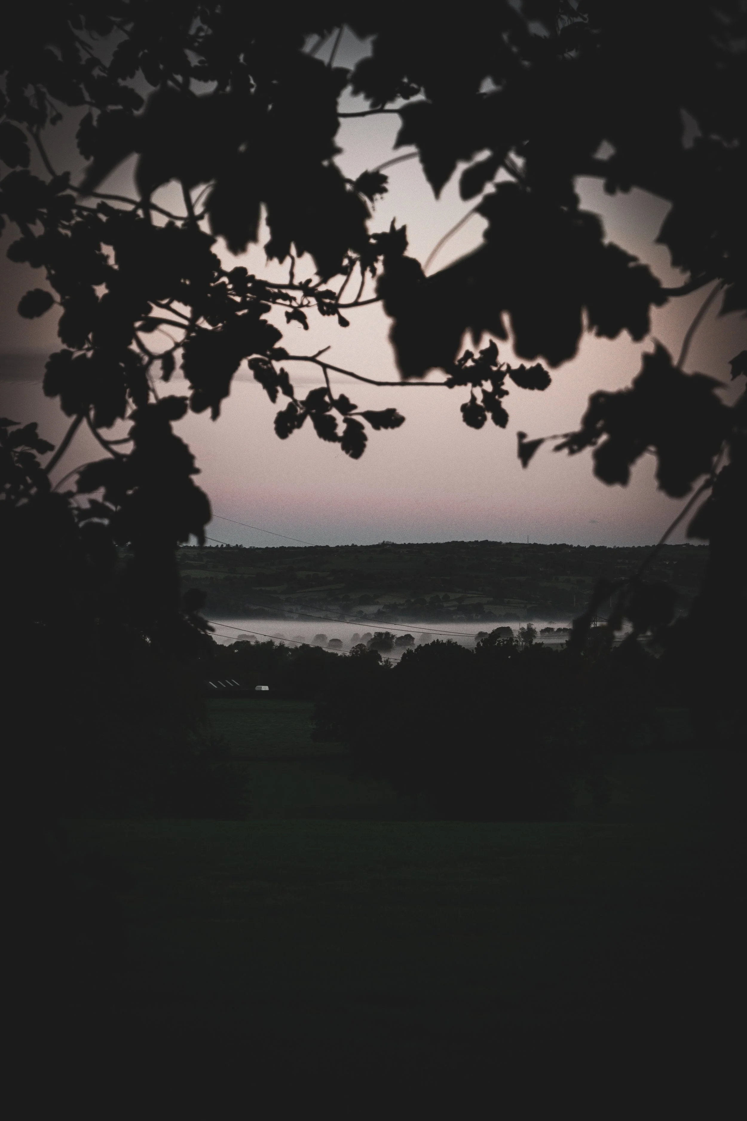 DSCF8763.jpg