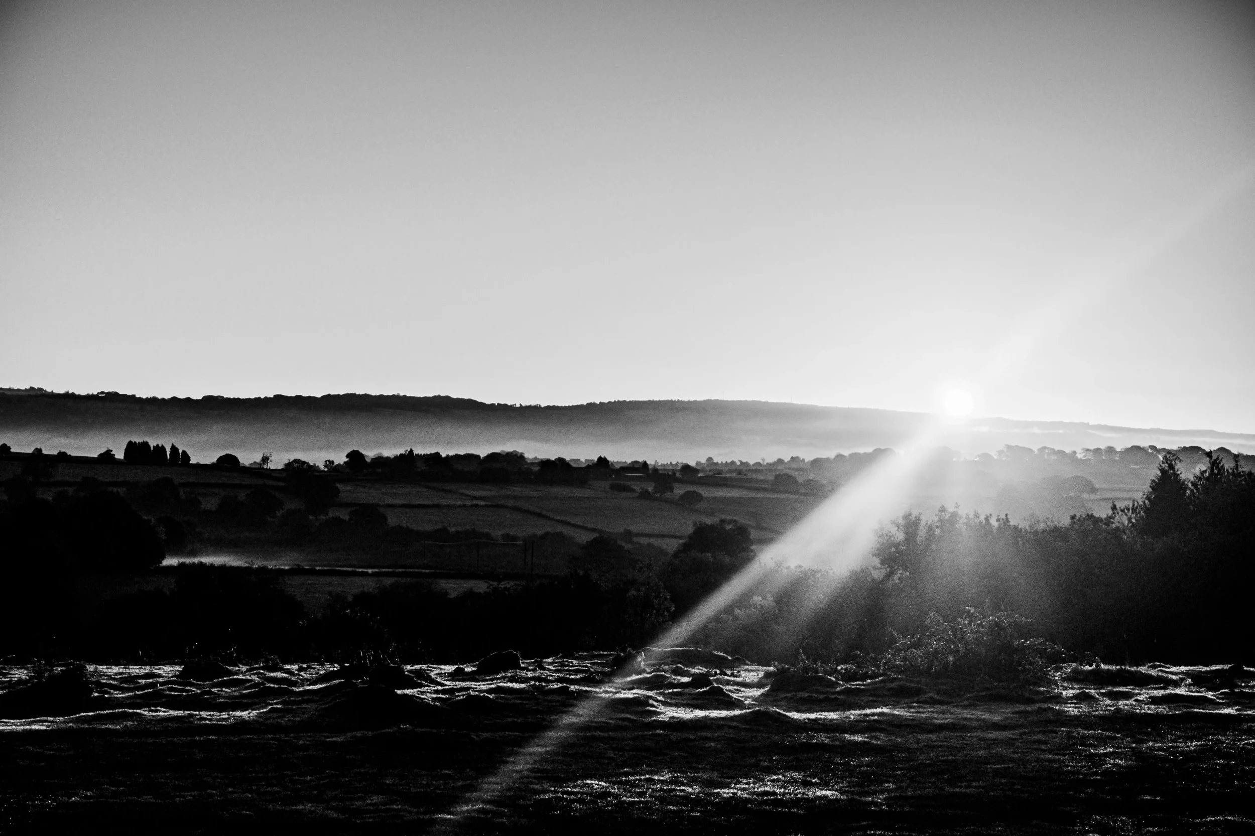 DSCF8808.jpg