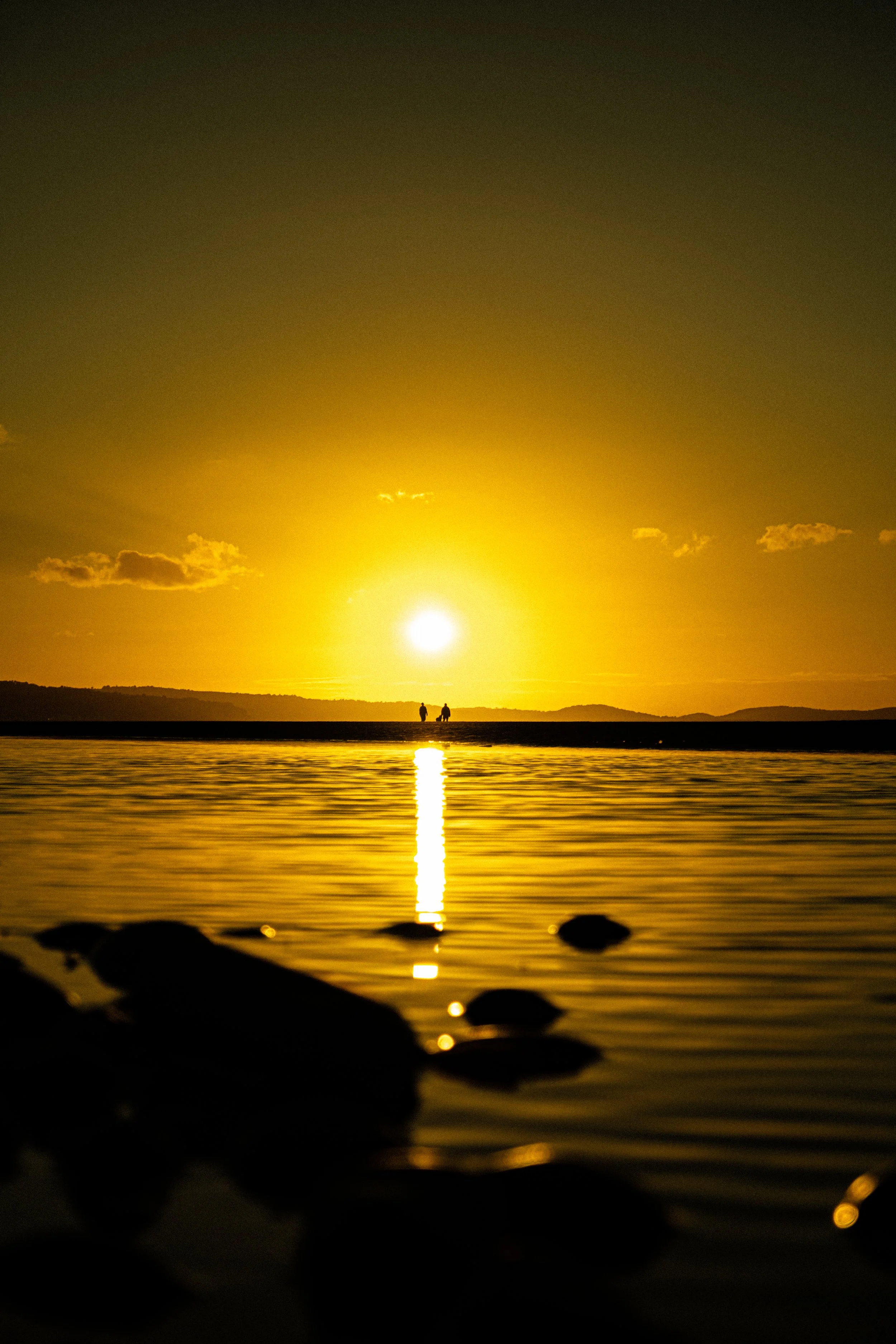 DSCF7715.jpg