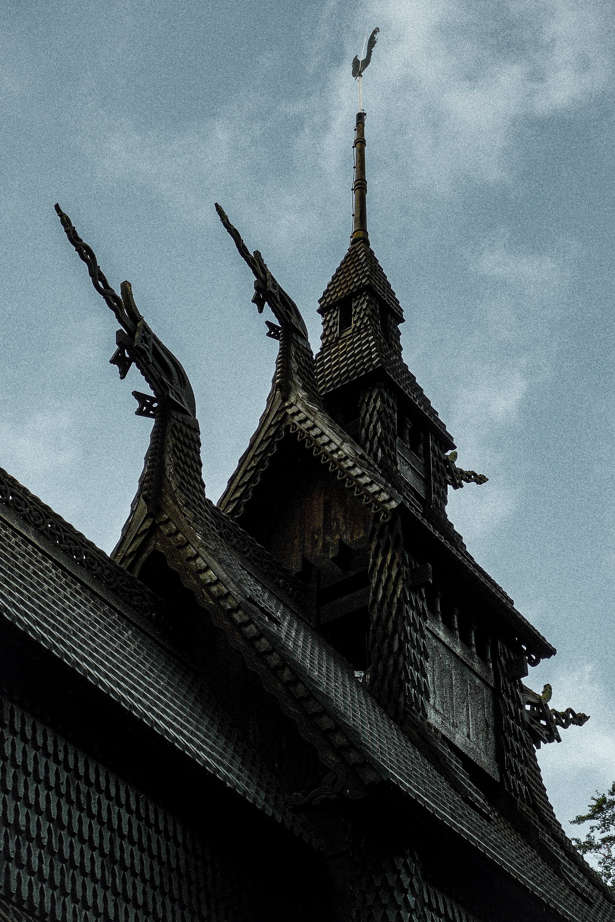 DSCF5591.jpg