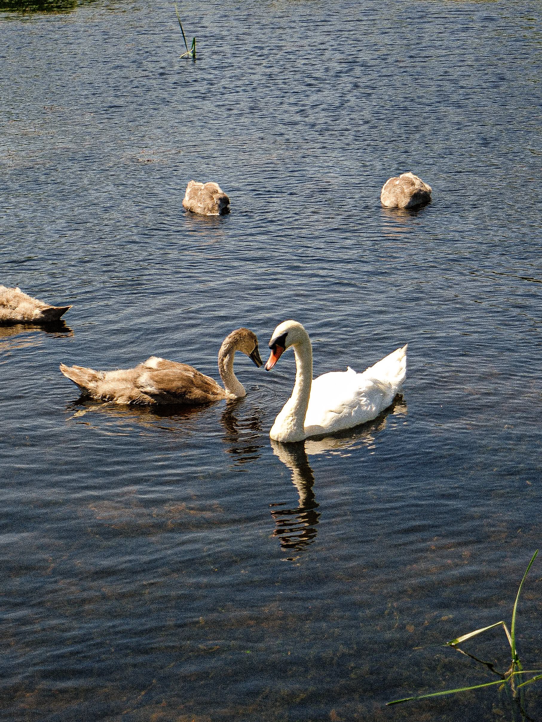 DSCF0400.jpg