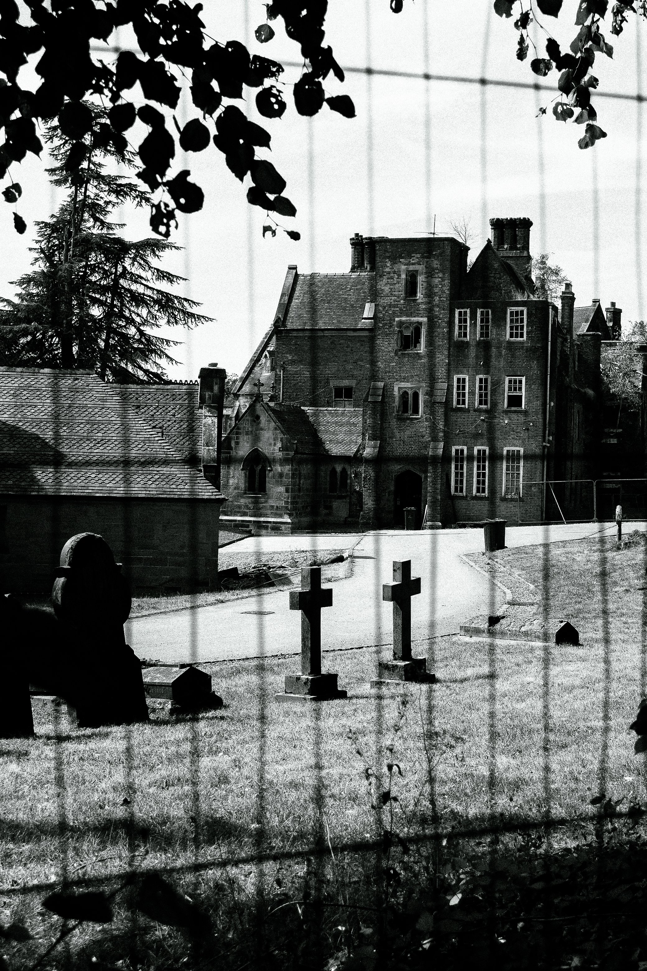 DSCF2876.jpg