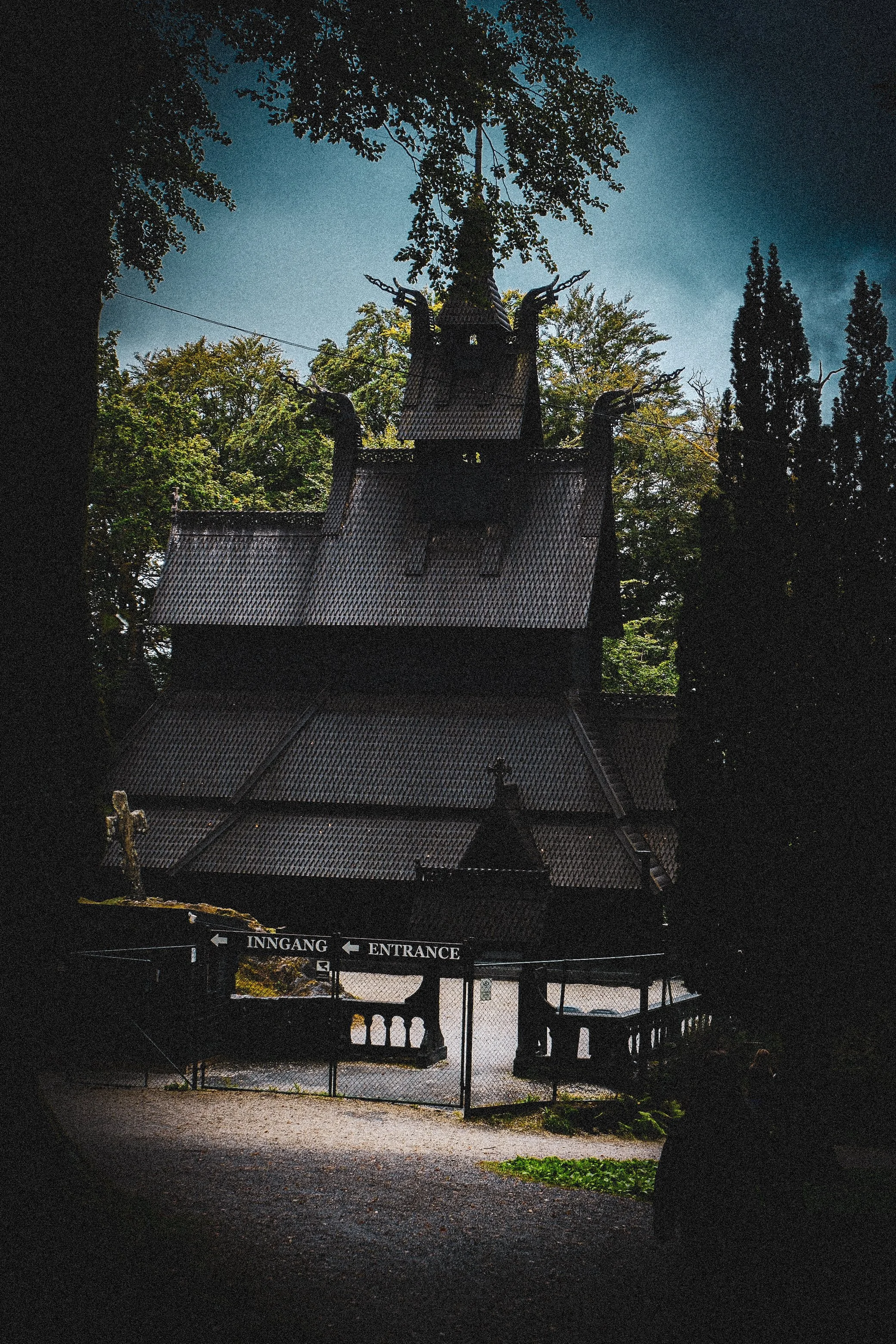 DSCF5554.jpg