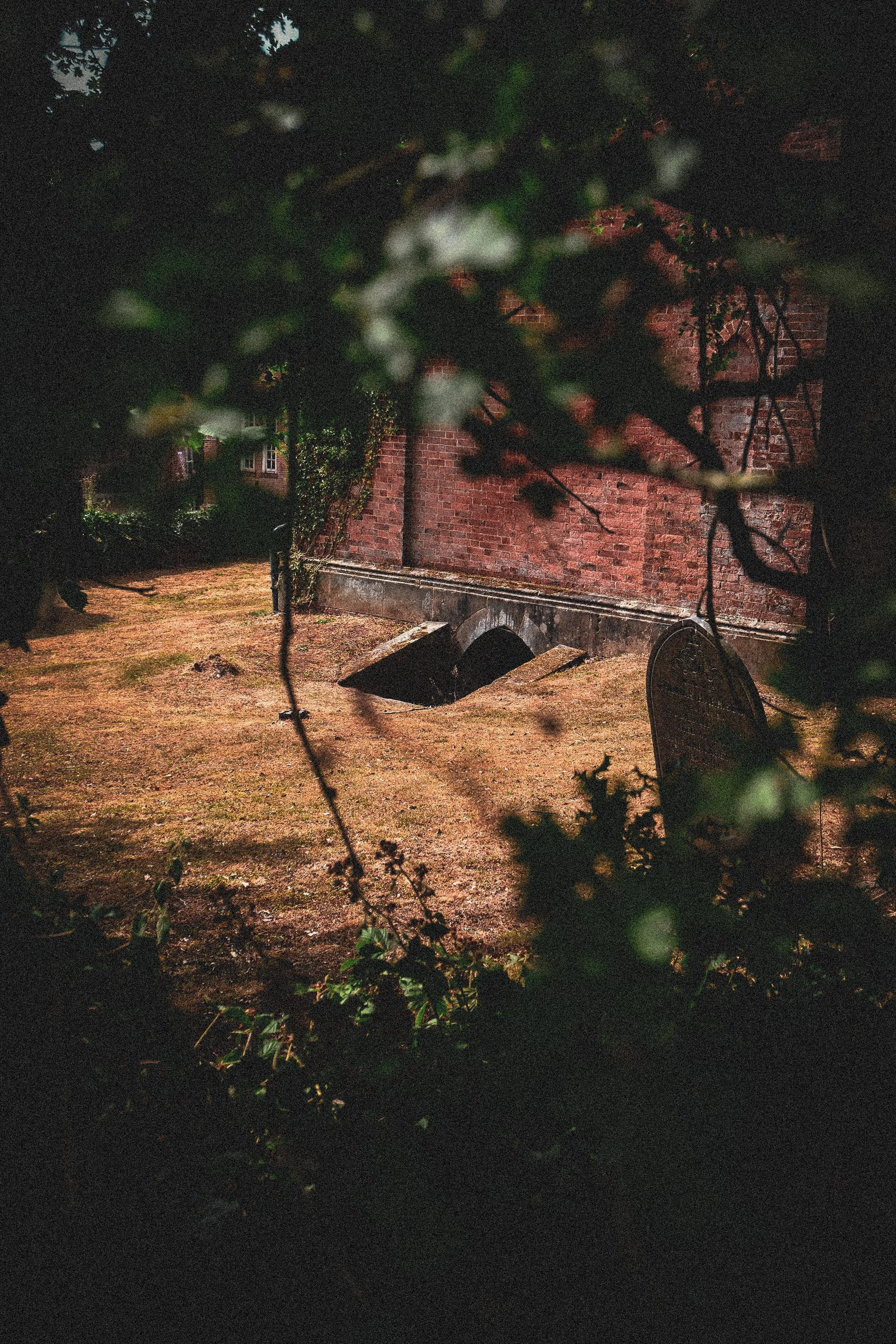 DSCF2940.jpg