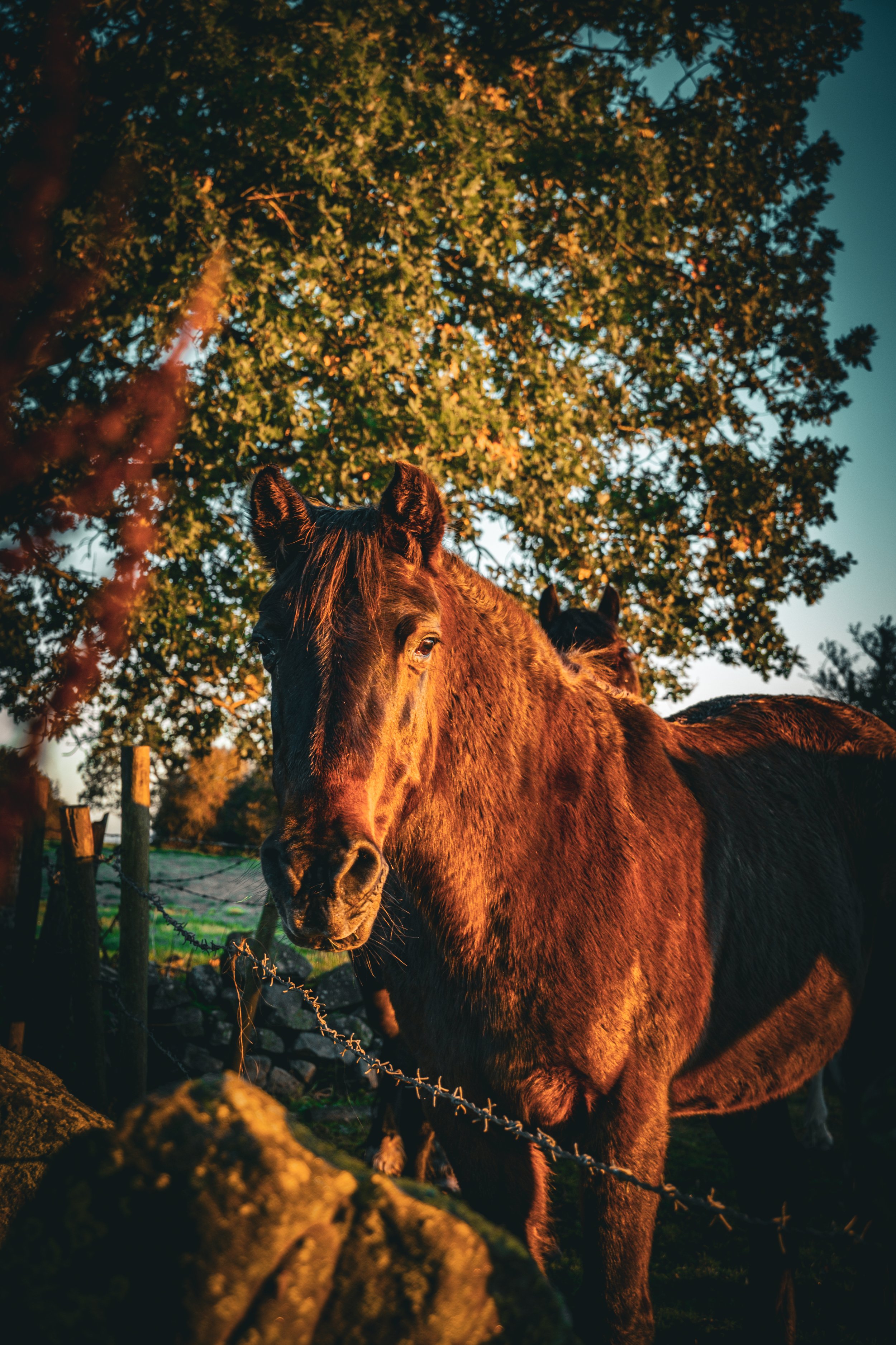 DSCF8940.jpg