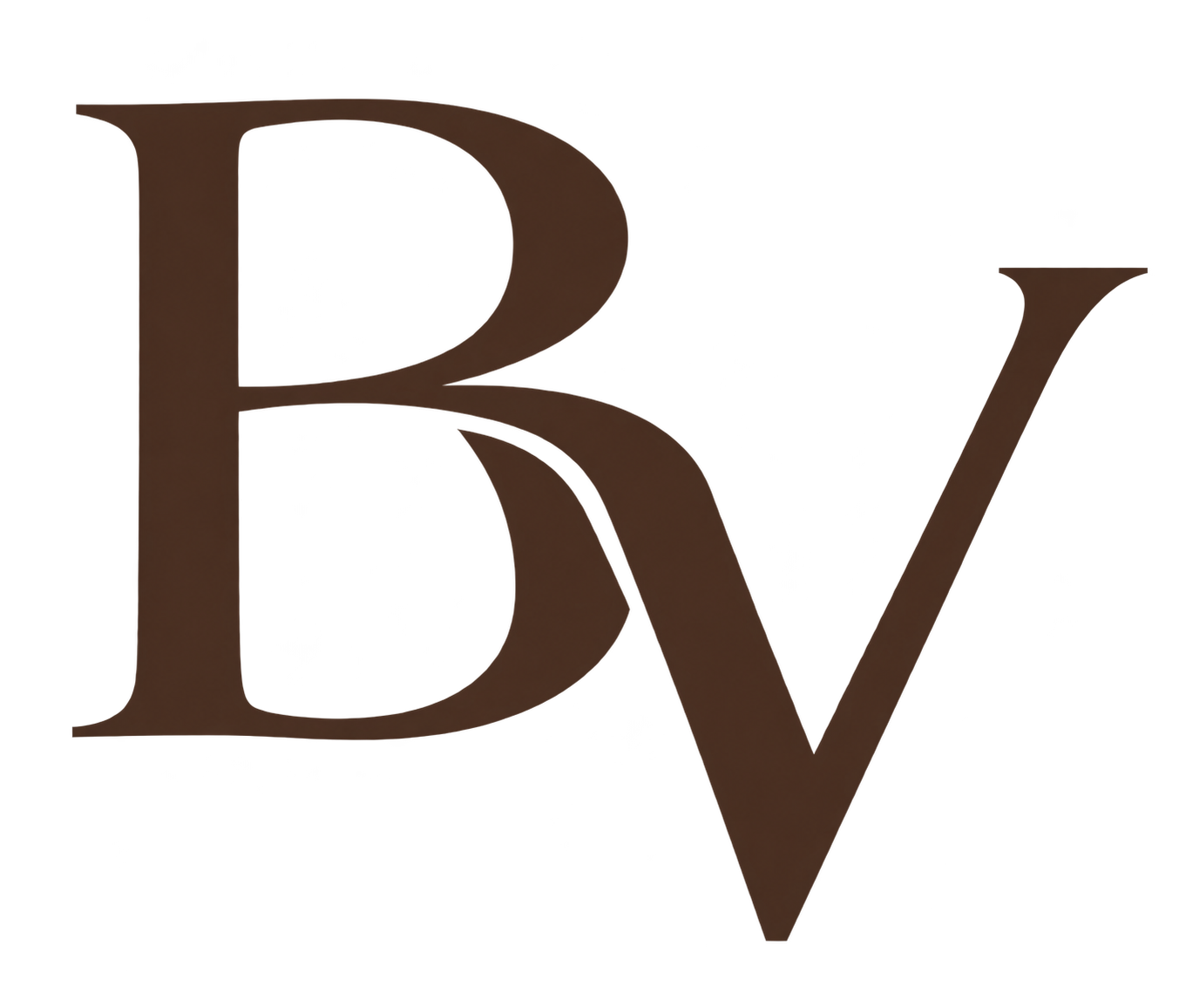 Balanced Visuals Interior Design