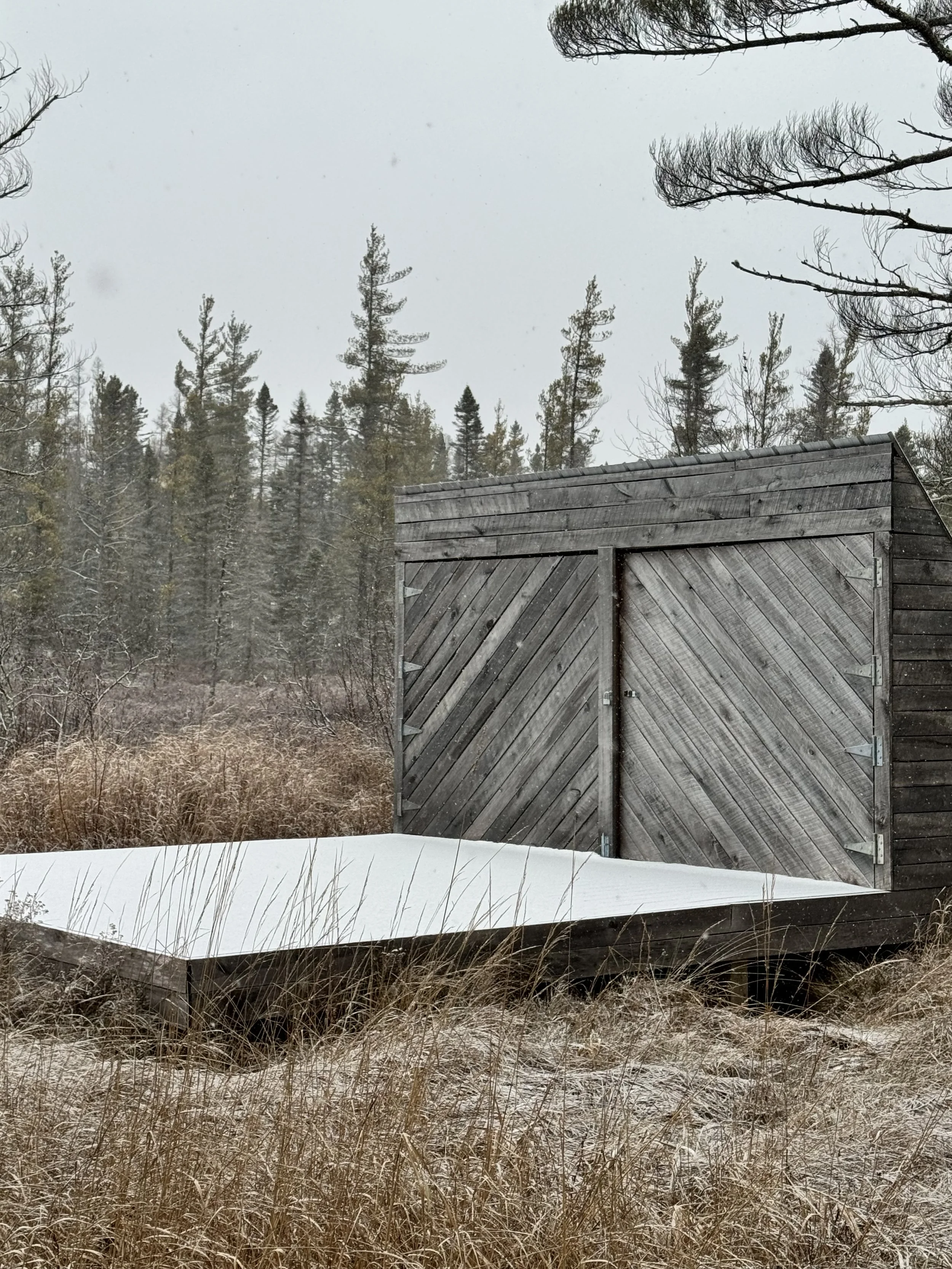 A weathered wooden shed with a diagonal plank design in a rural, snowy landscape with tall brown grasses and trees in the background.