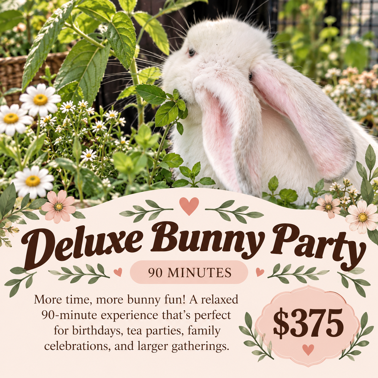 Deluxe Bunny Party