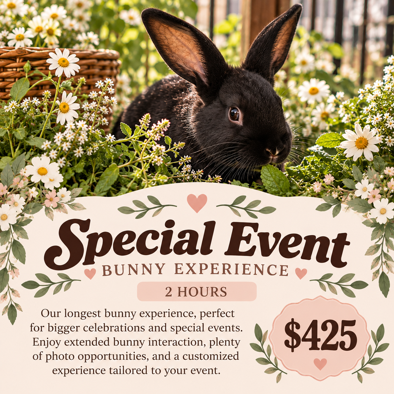 Special Event bunny experience