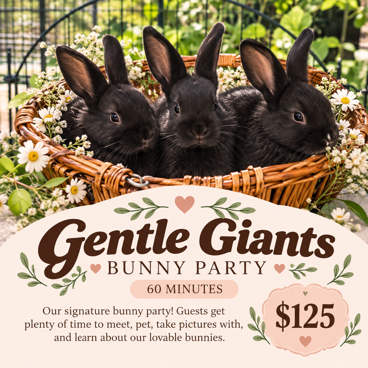 Gentle Giants Bunny Party