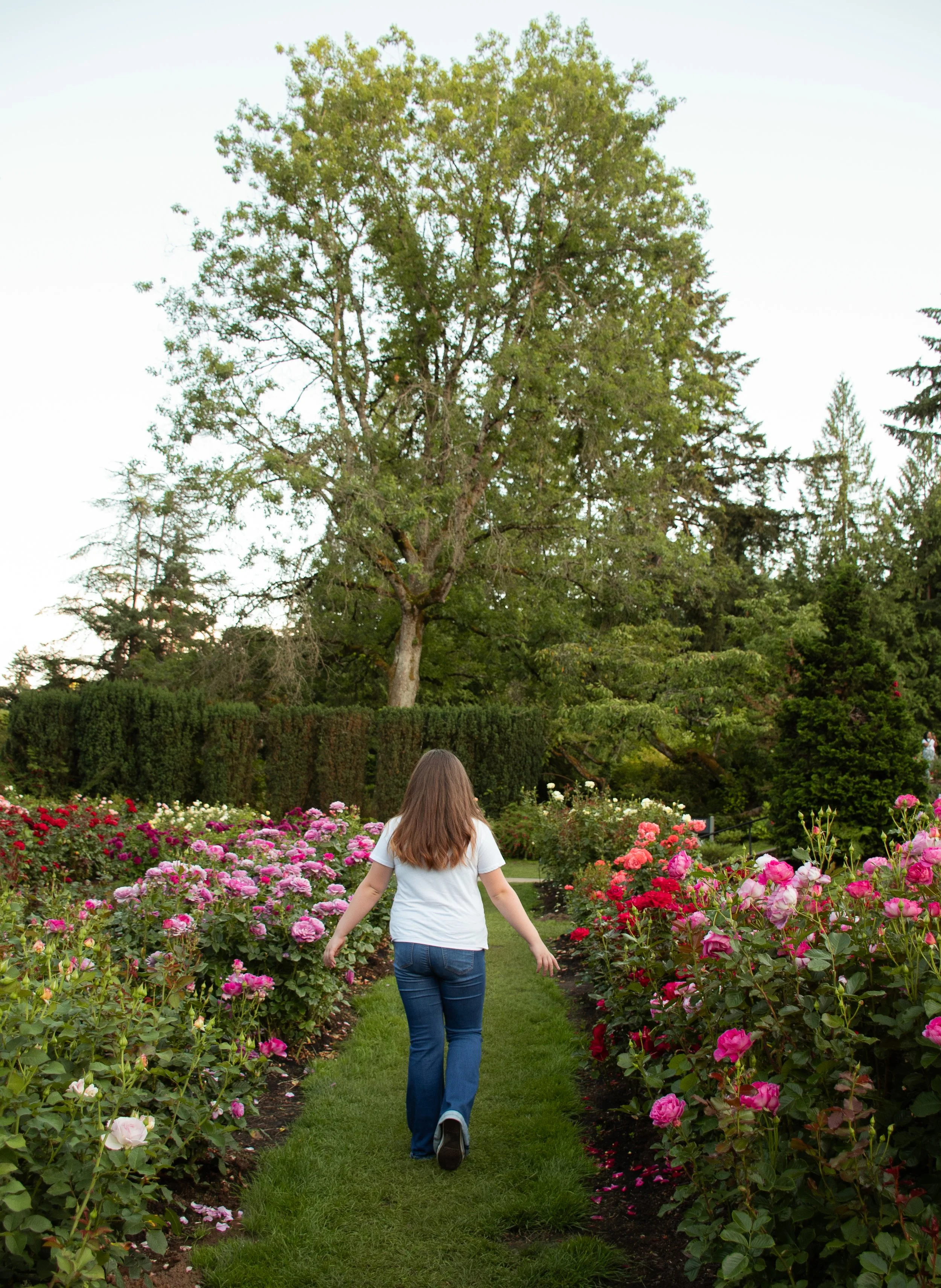 DSC_1836.jpg