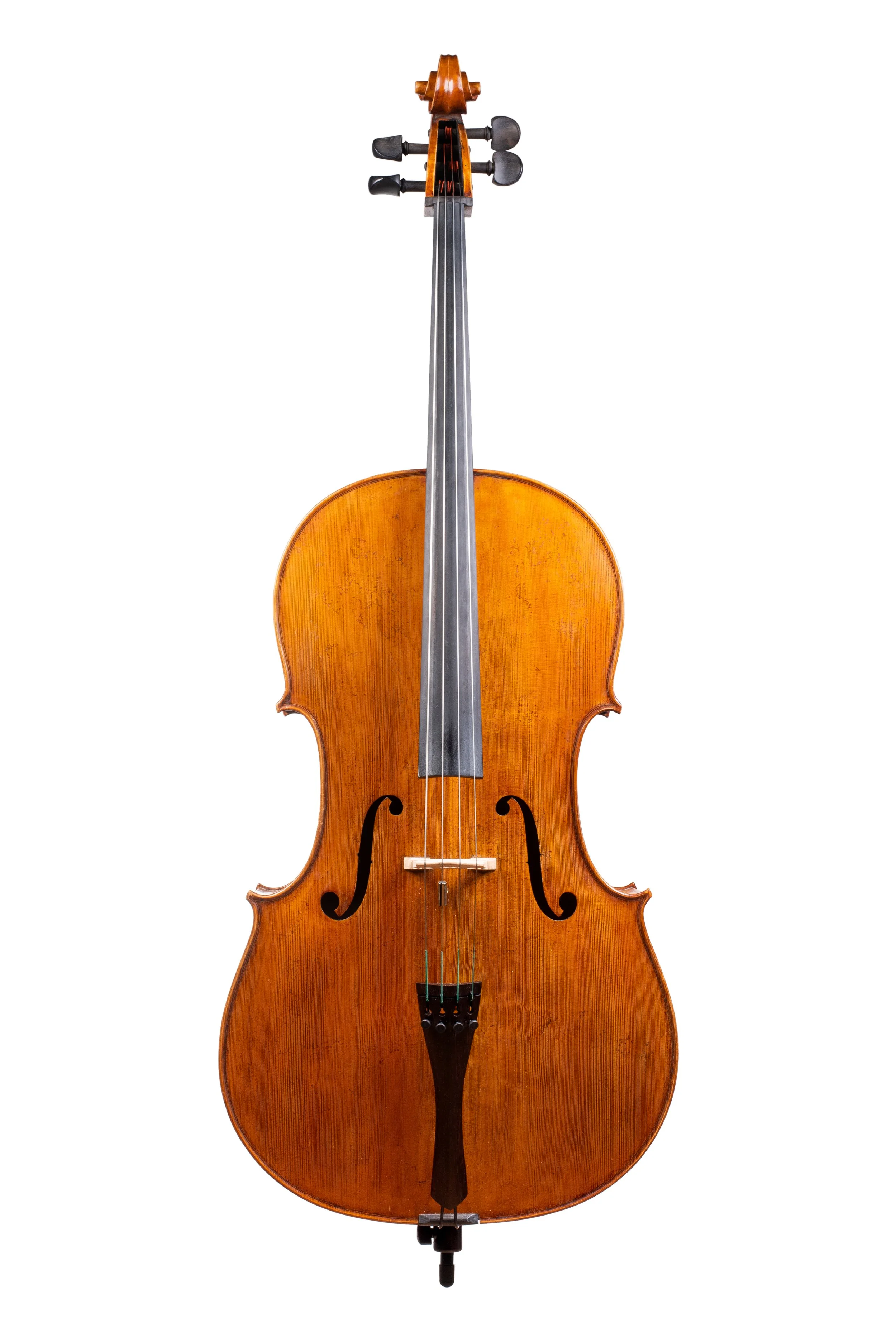 Professional Master Cello