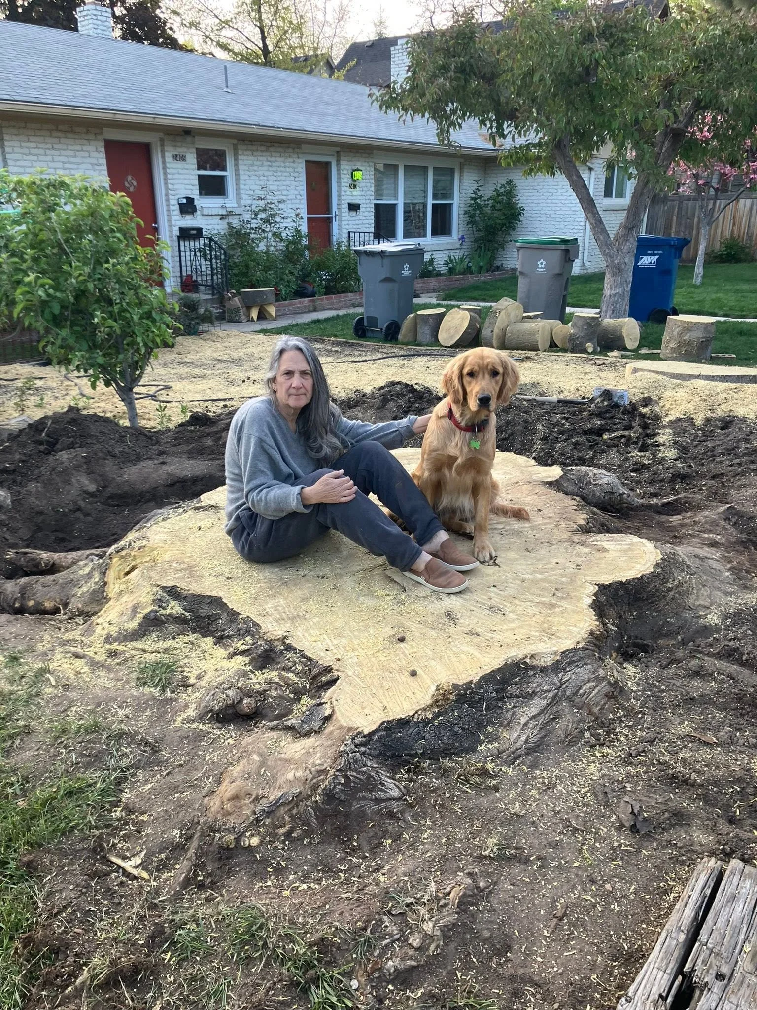 A woman and dog sitting on a large tree stump in front of a house with a red door.
