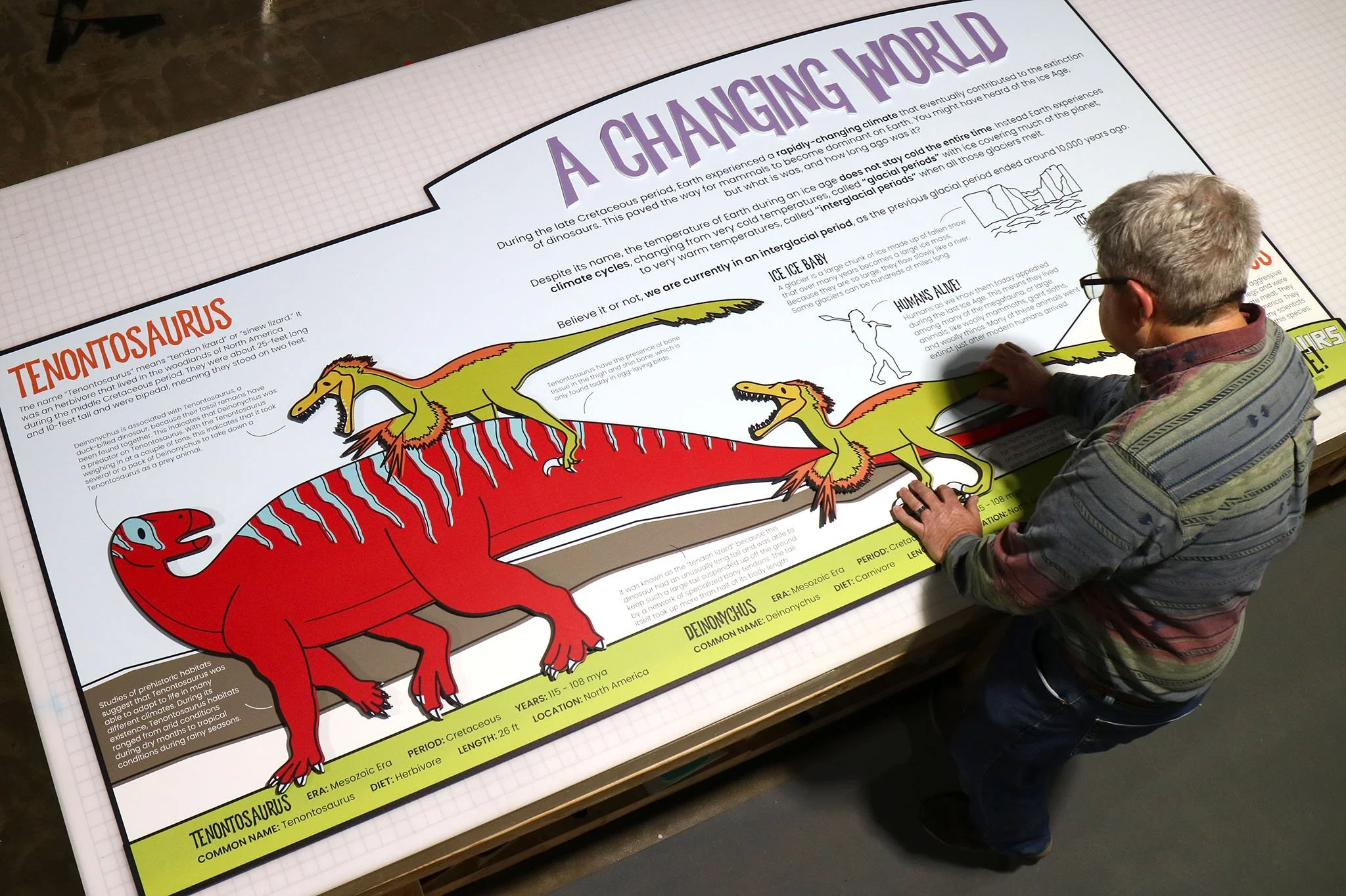 A man reading an educational infographic about prehistoric dinosaurs, featuring colorful illustrations of T. rex and Tenontosaurus, with detailed information about their characteristics and history.