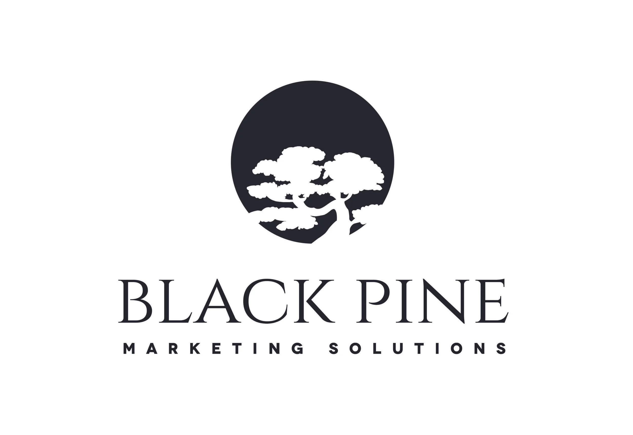 blackpine .jpg