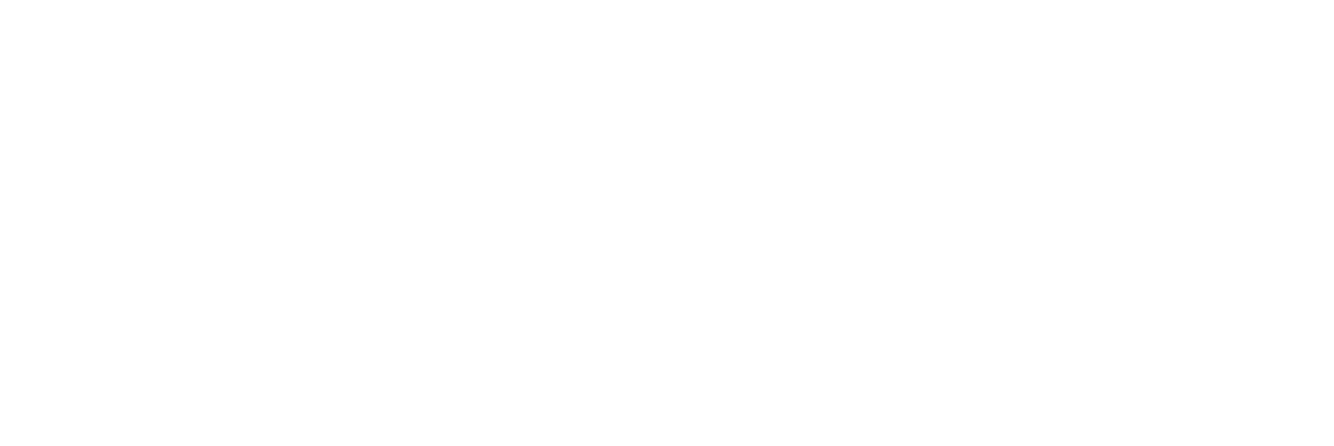 Total Automotive (Copy)