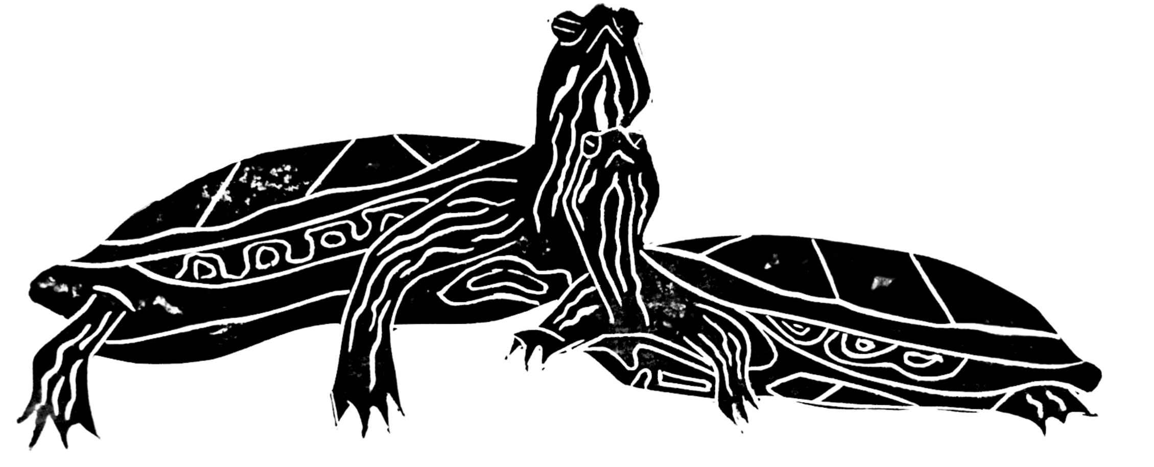 Lino Print Turtles