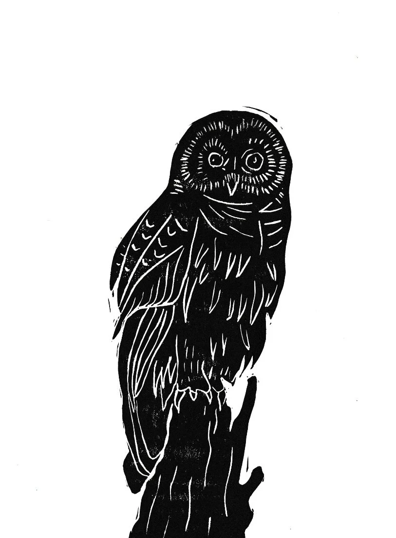 Lino Cut Owl (8x10)