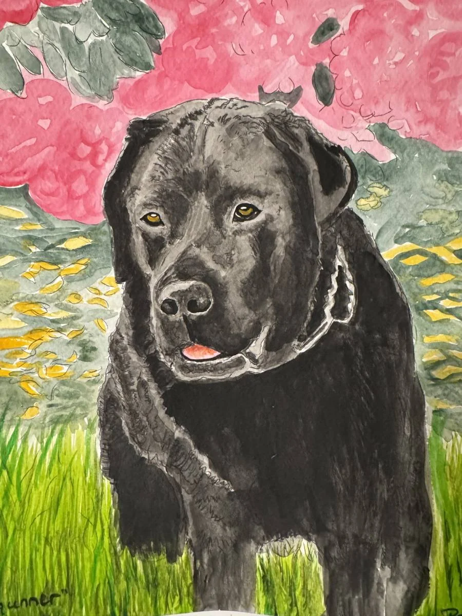IMG_8601 gunner black lab.jpg
