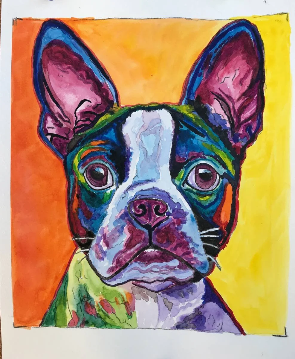 IMG_2851 colorful frenchie.jpg