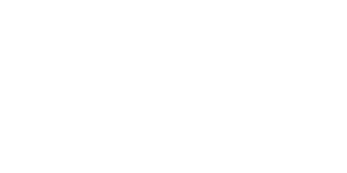 Public Trust Strategies