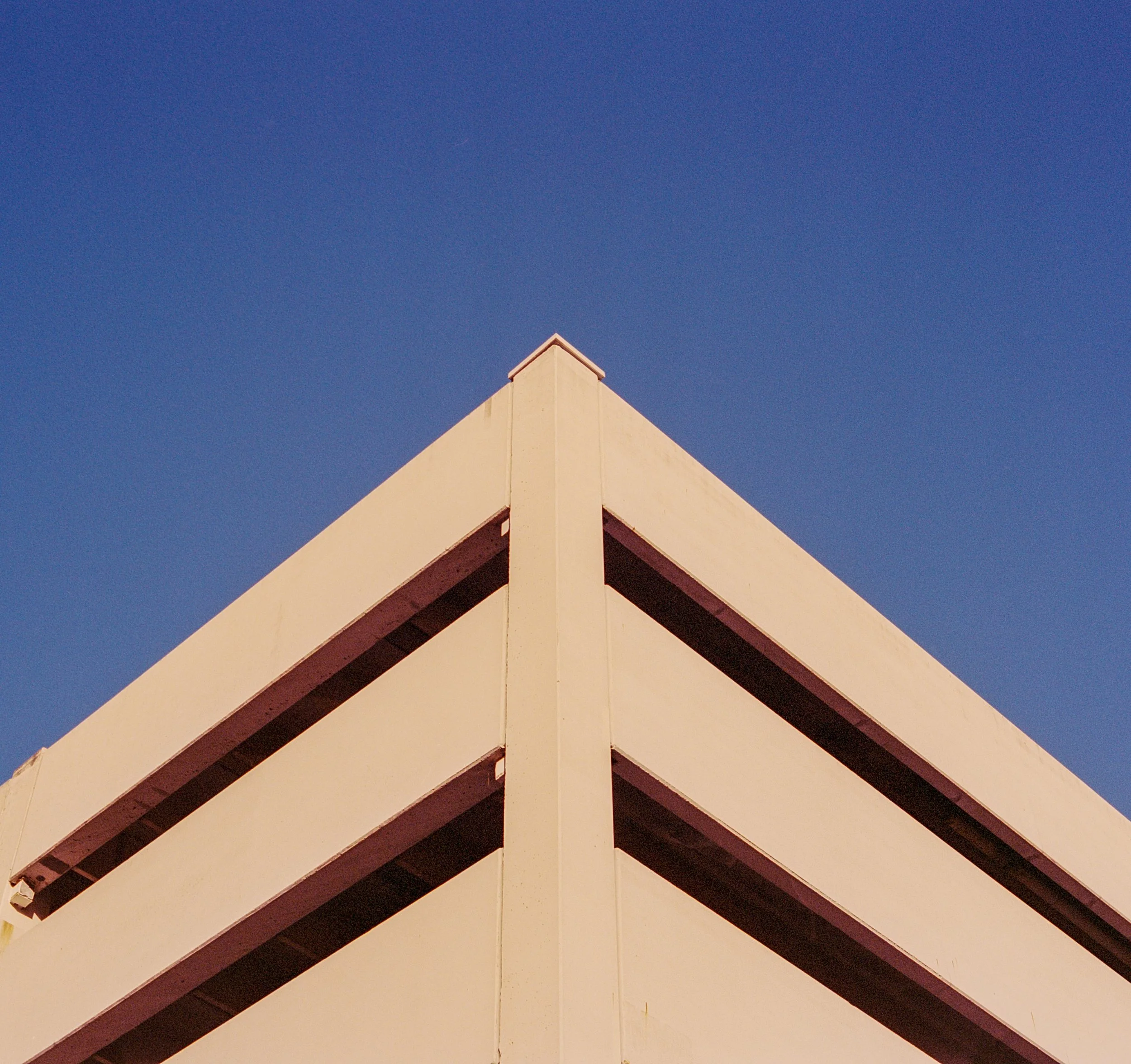 Untitled11.JPG