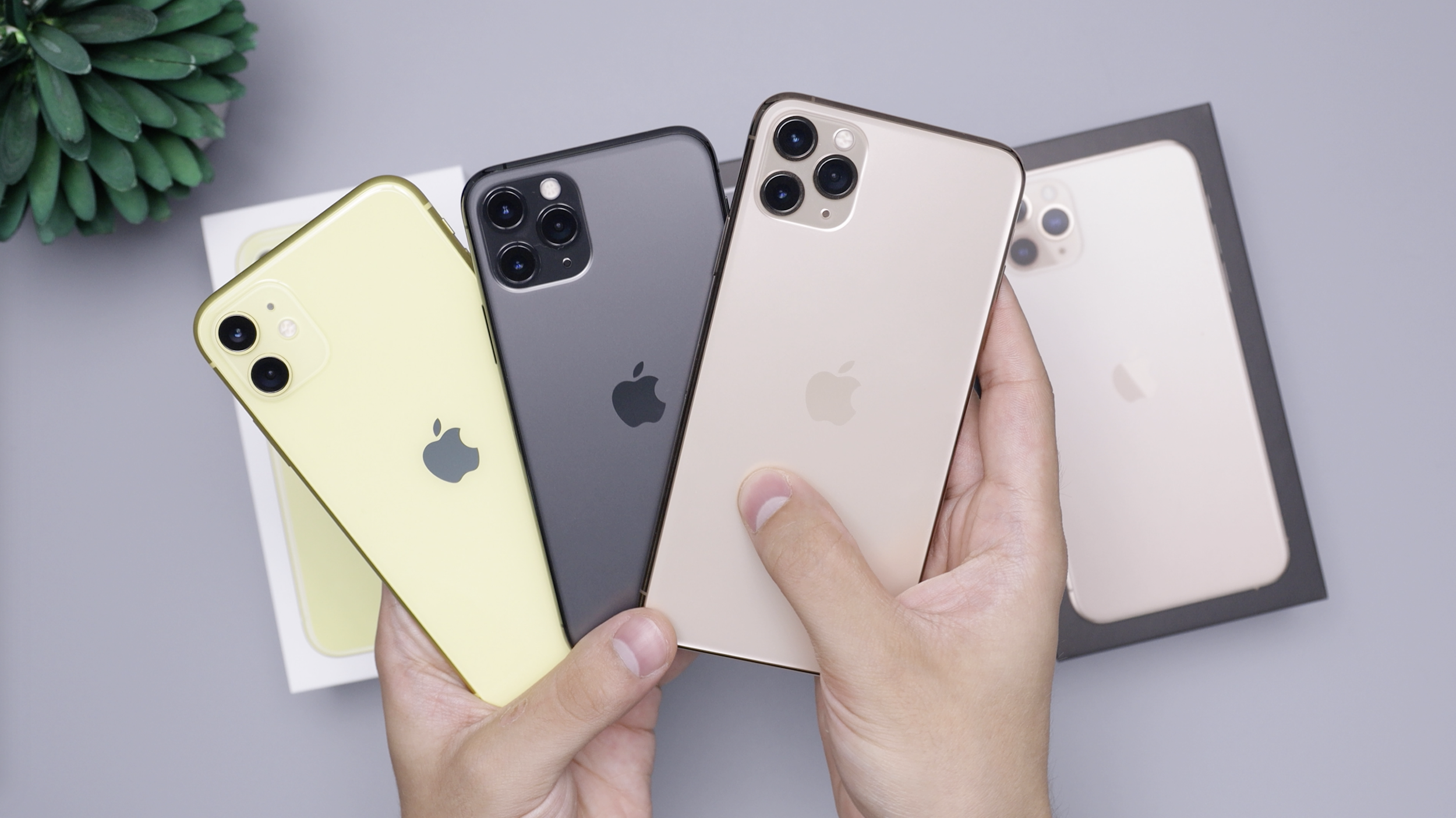 Selección de celulares disponibles para revendedores
