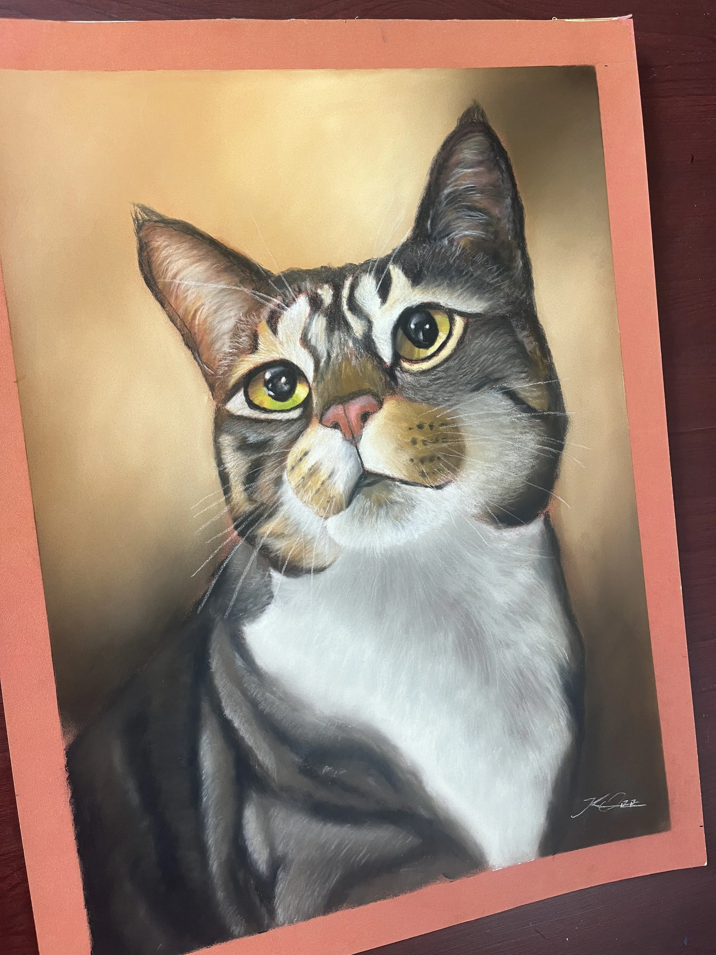 Detailed colored pencil drawing of a tabby cat with green eyes, pink nose, and black and gray fur, framed with a pink border.