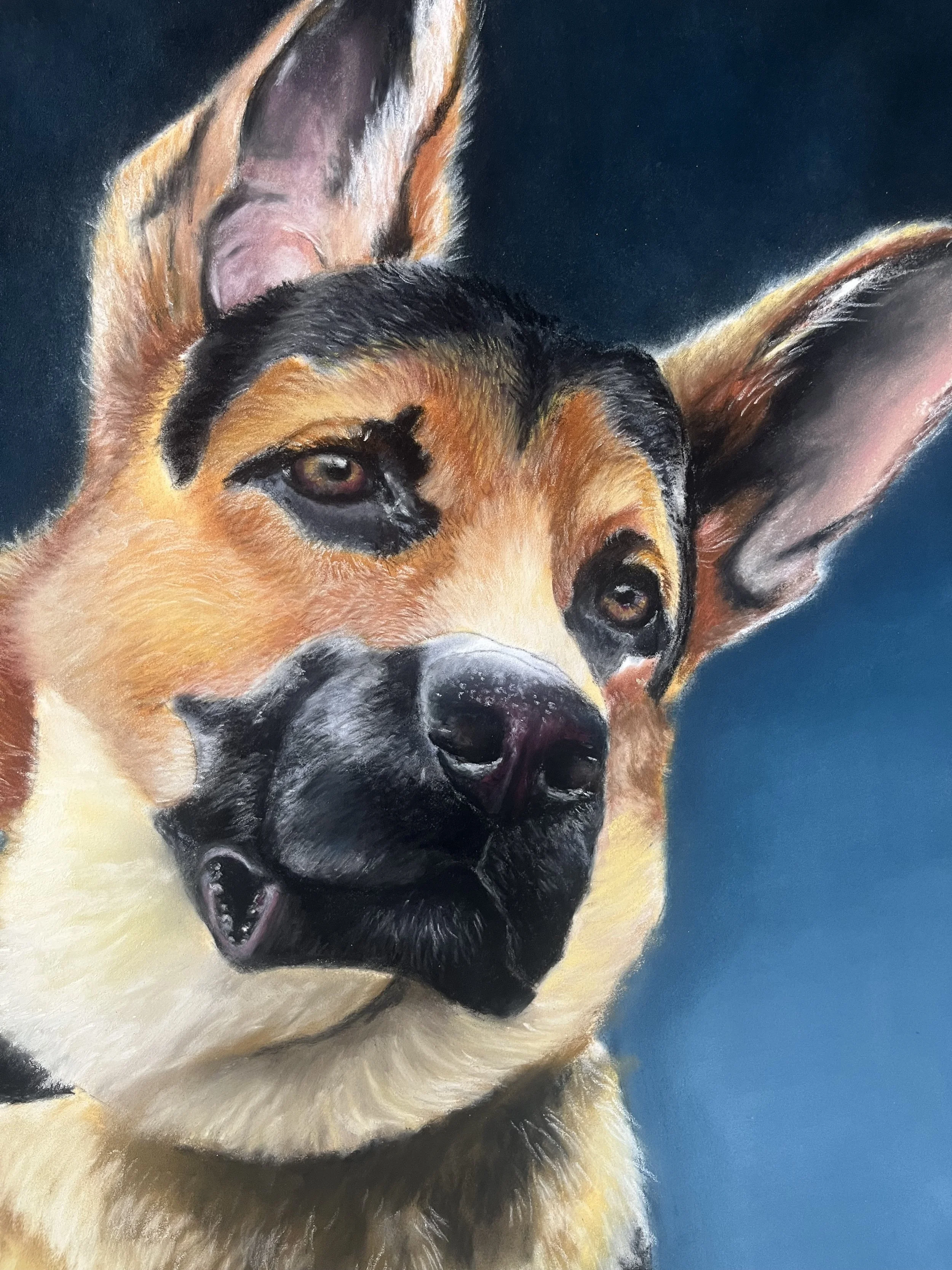A close-up of a dog's face, likely a German Shepherd, with detailed fur and expressive eyes, set against a dark background.