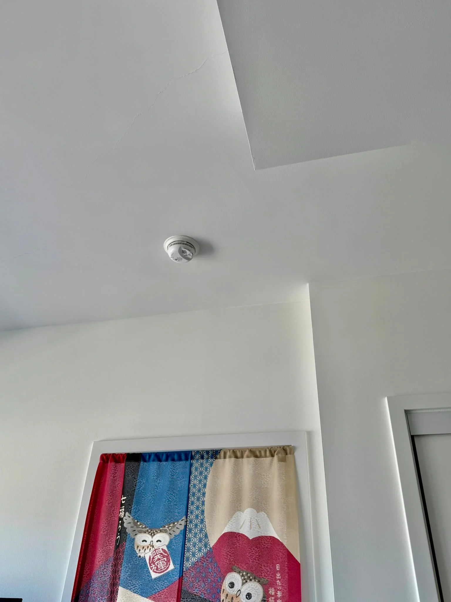 Origin Haven I  Because Your Home Deserves a Closer Look. (smoke detector - Home Safety Tips)