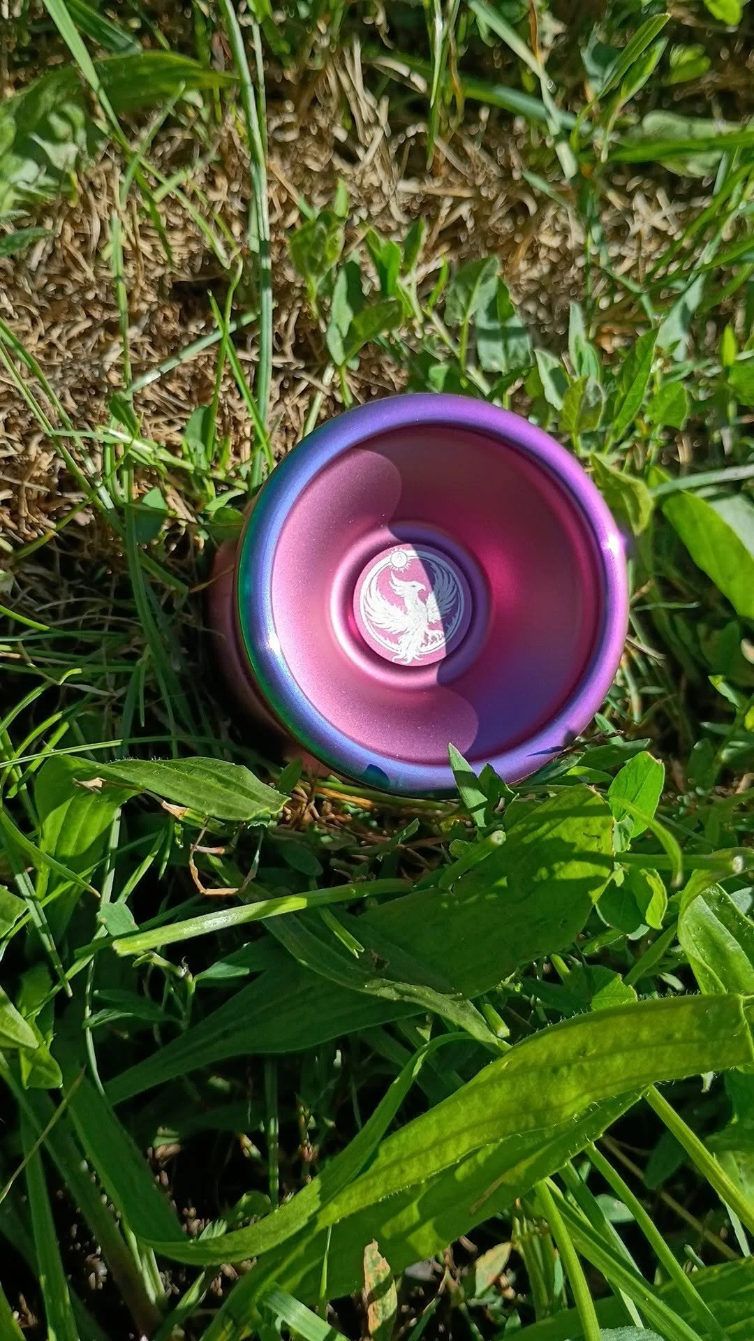 838611811_1640218487682685_5991409113490724538_n.jpg