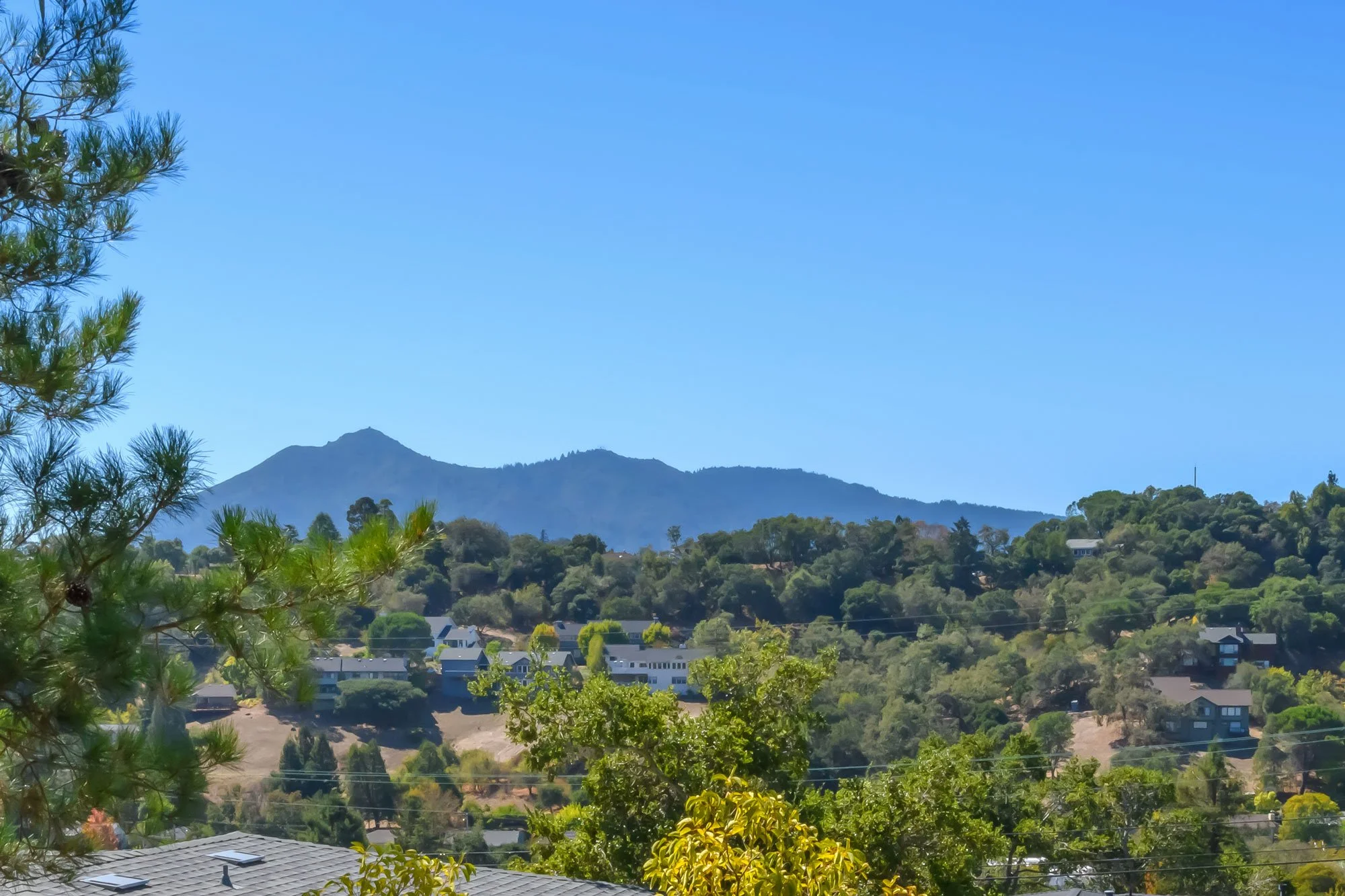 Scenic view of a mountain with a clear blue sky, surrounded by lush green trees and a neighborhood with houses in the foreground.