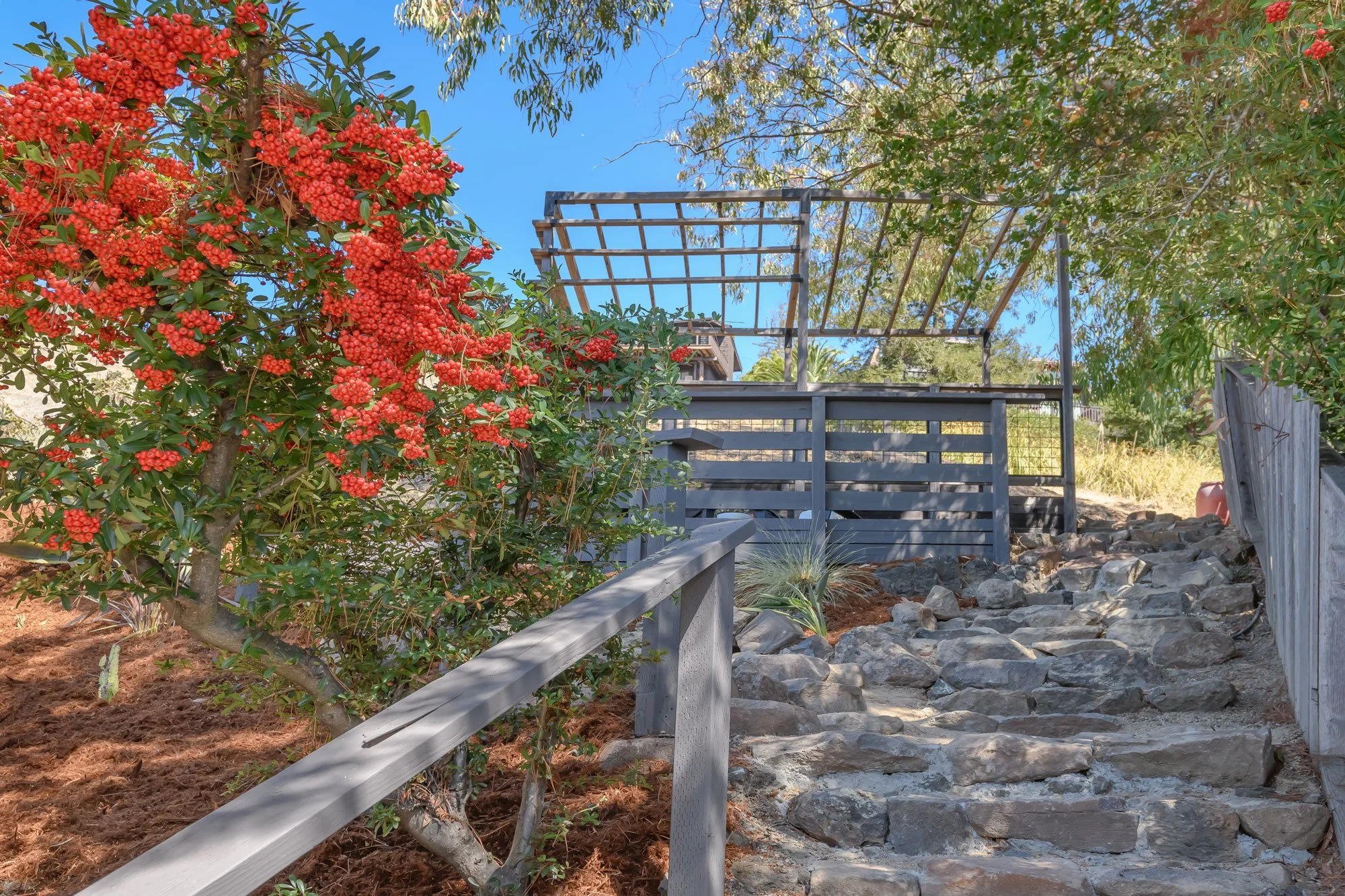 A tree with bright red berries on the left side of the image. Wooden railing and a rocky pathway leading up a hill on the right side. Green trees and shrubbery in the background under a clear blue sky.