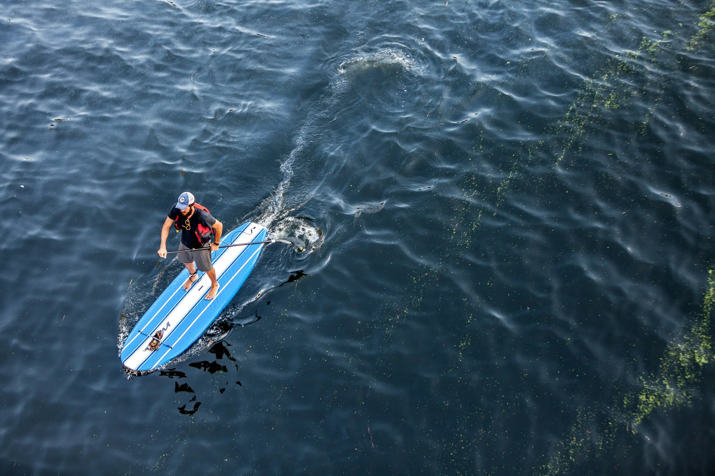 A man paddleboarding on a calm body of water with some small patches of algae or plant matter.