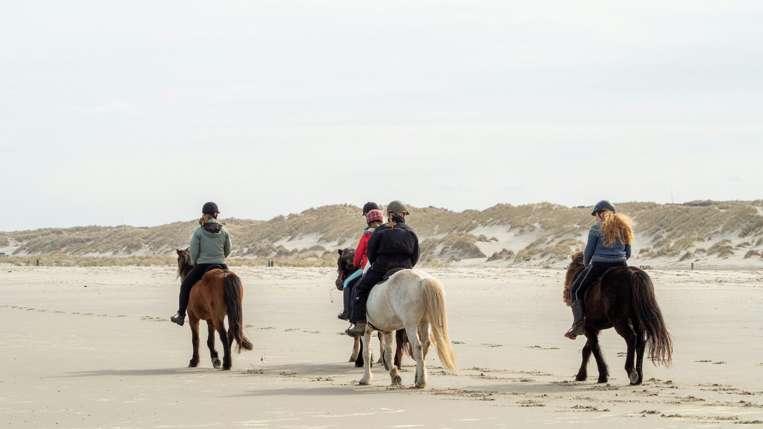 Group of six people riding horses on a sandy beach with dunes in the background, all wearing helmets.