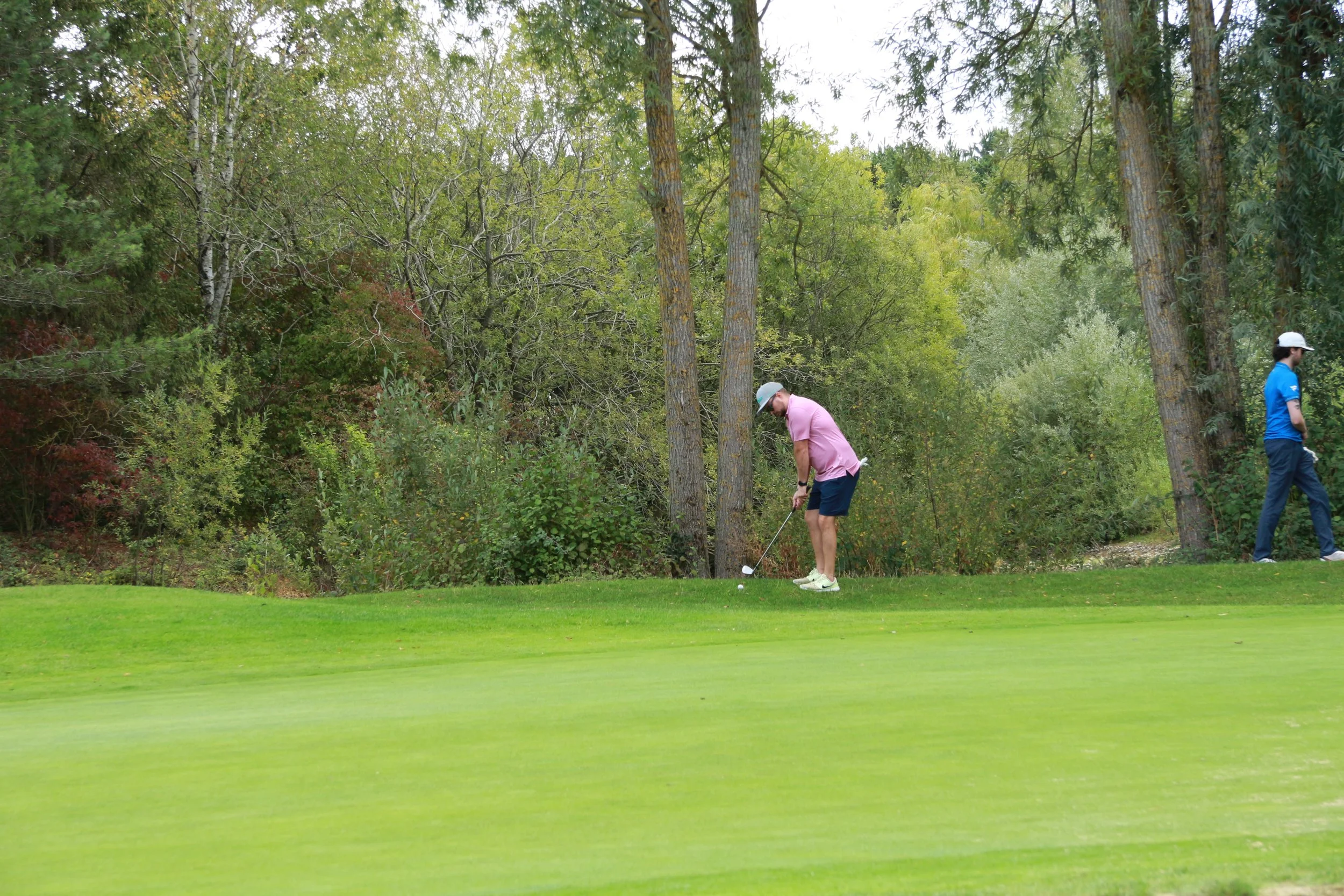 Two men playing golf on a course with green grass, trees, and bushes in the background. One man in a pink shirt and shorts is preparing to hit the golf ball, while the other man in a blue shirt stands watching.
