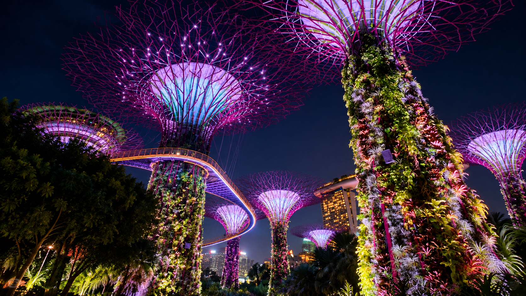 Supertree illuminati di notte ai Gardens by the Bay di Singapore, con passerella sopraelevata e vegetazione verticale